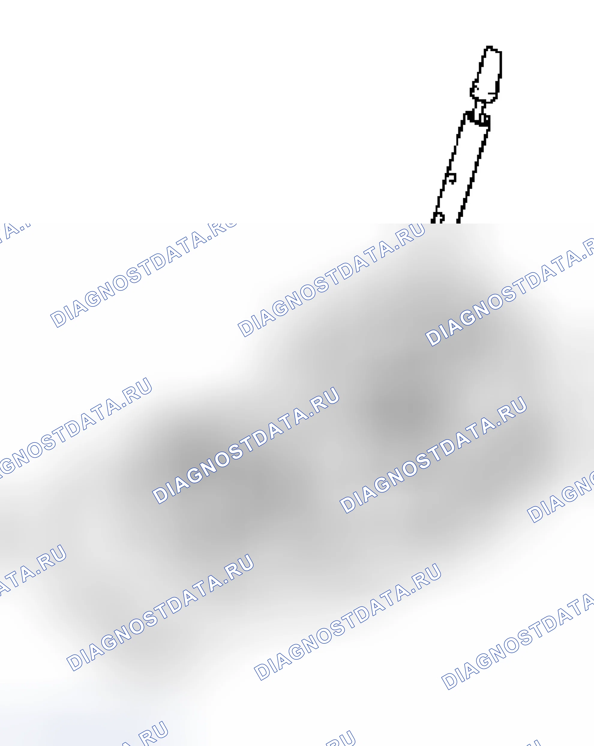 Рис. 38. Isuzu Axiom I