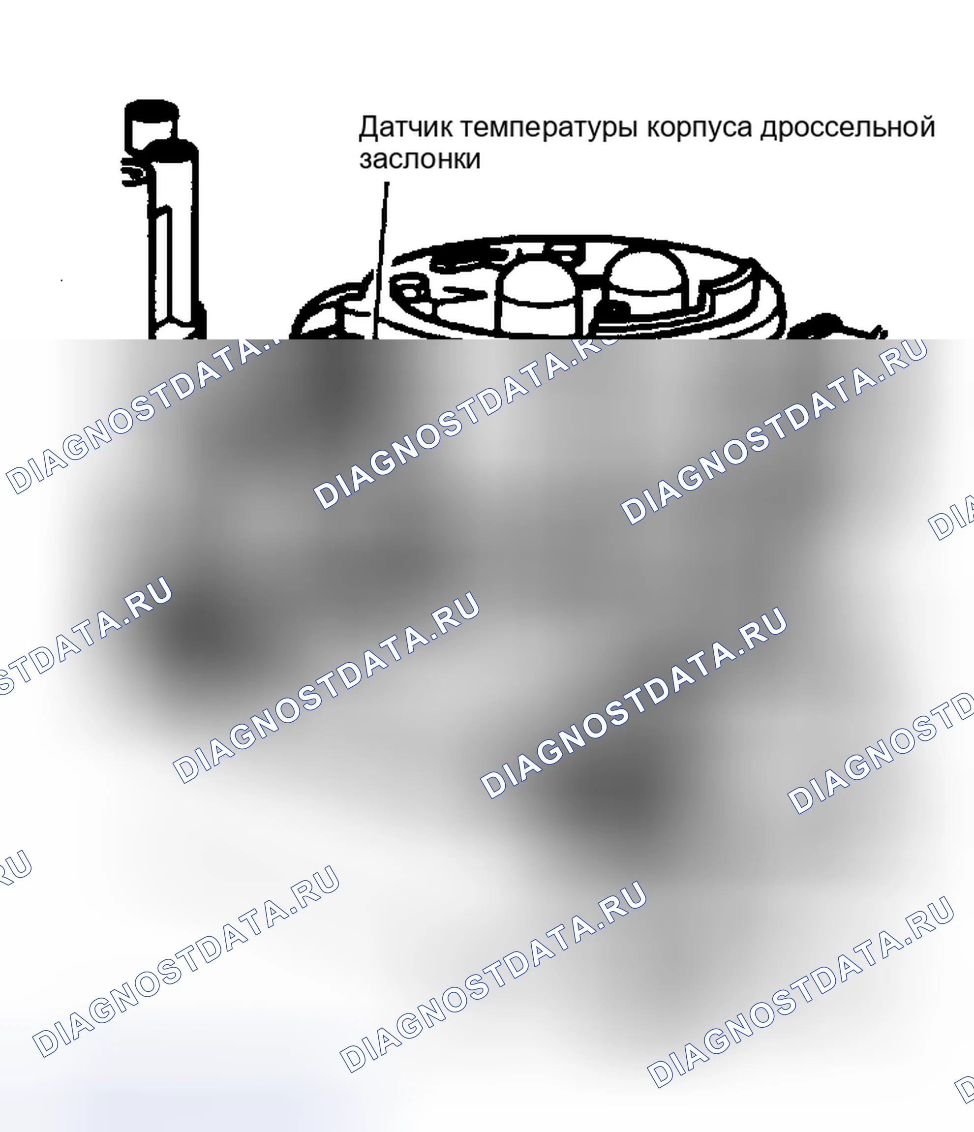 Рис. 219: DR16 (2 из 3). Расположение датчика температуры корпуса дроссельной заслонки. Dodge Dakota Shelby 