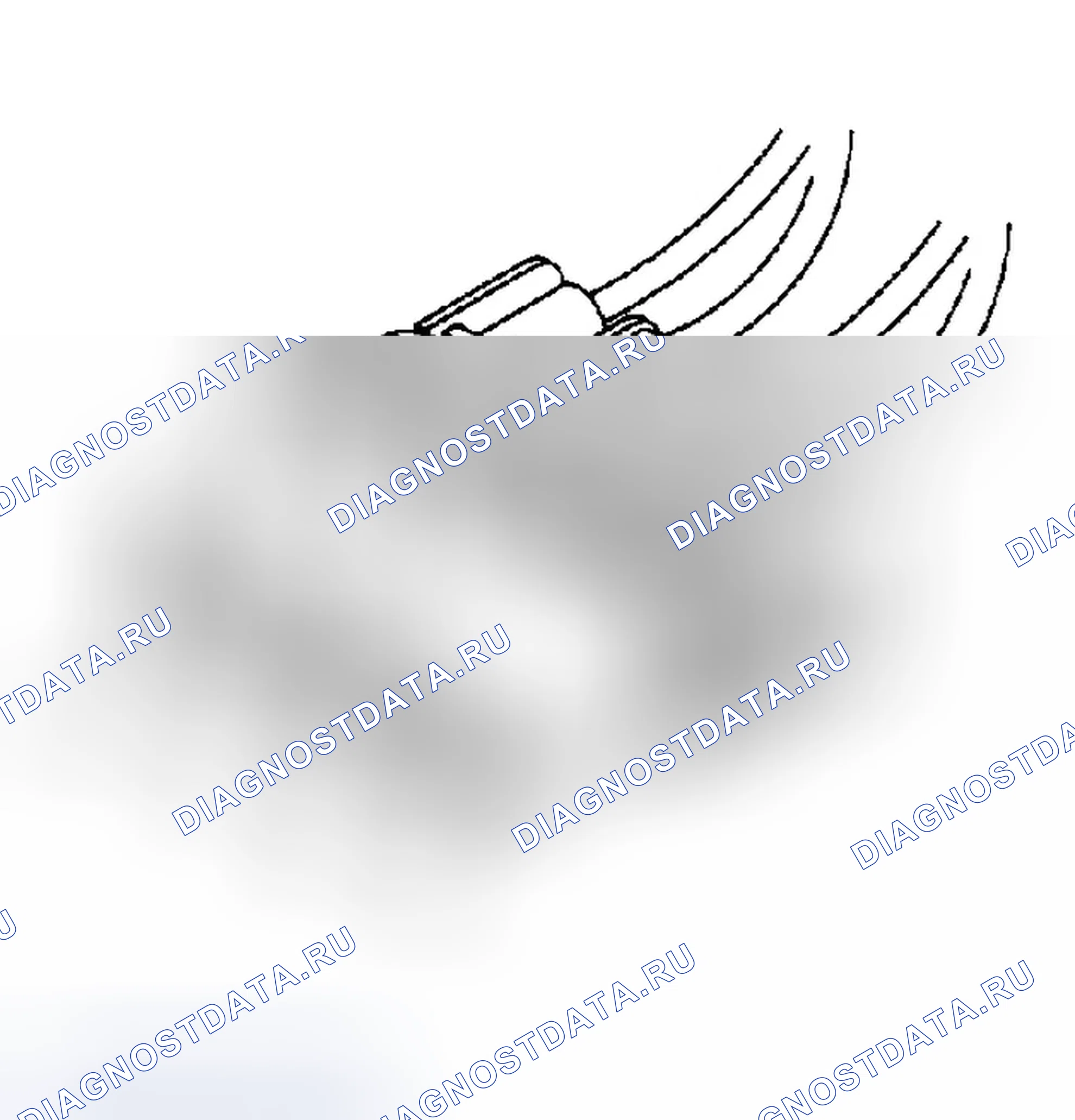 Рис. 11. Dodge Dakota WS 