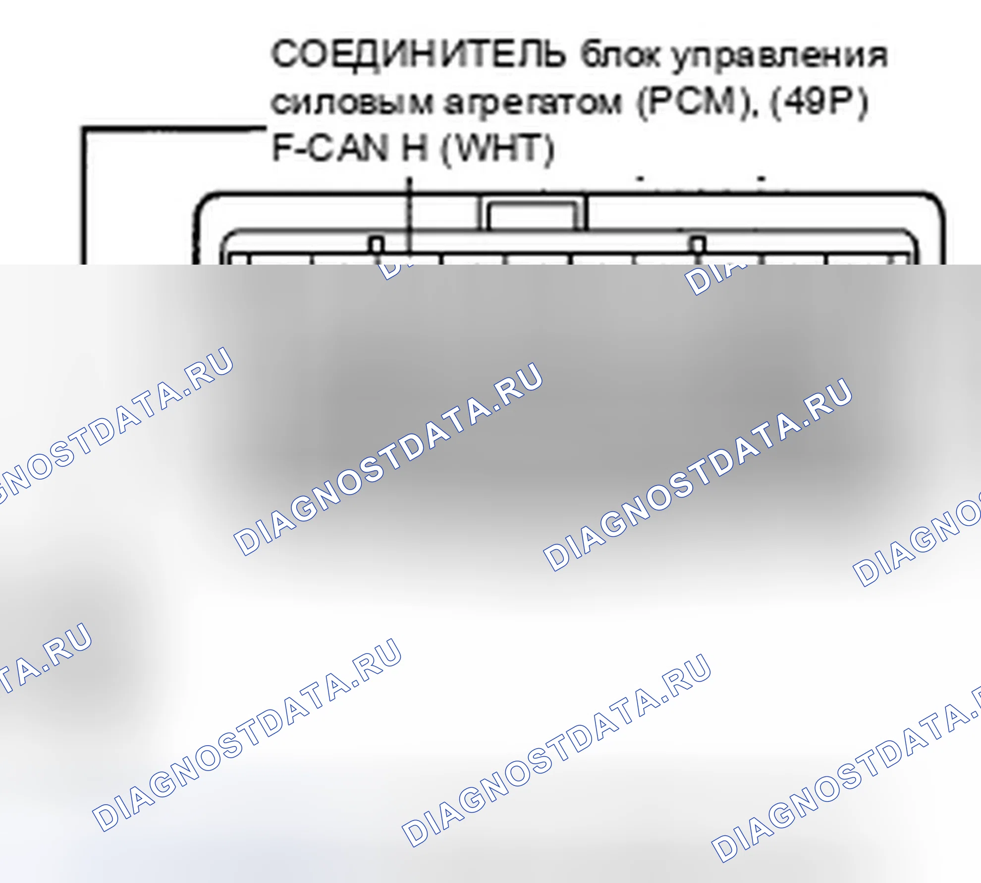 Рис. 603. Honda Crosstour I