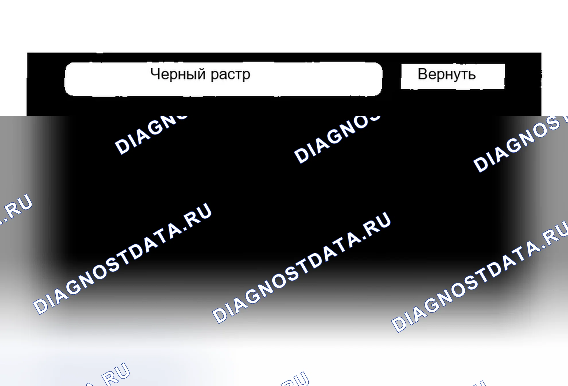 Рис. 56: Черный растр. Honda Accord VII рестайлинг