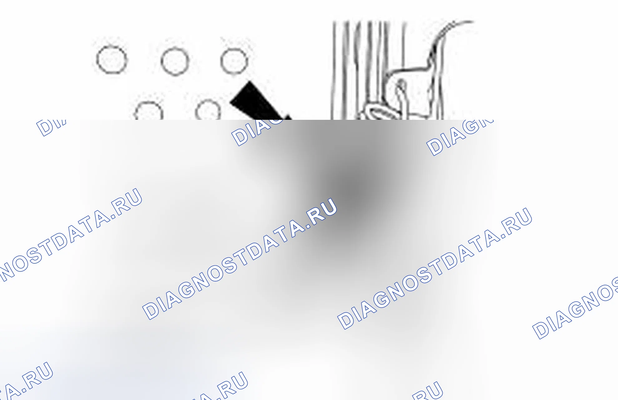 Рис. 10. Ford Ranger II