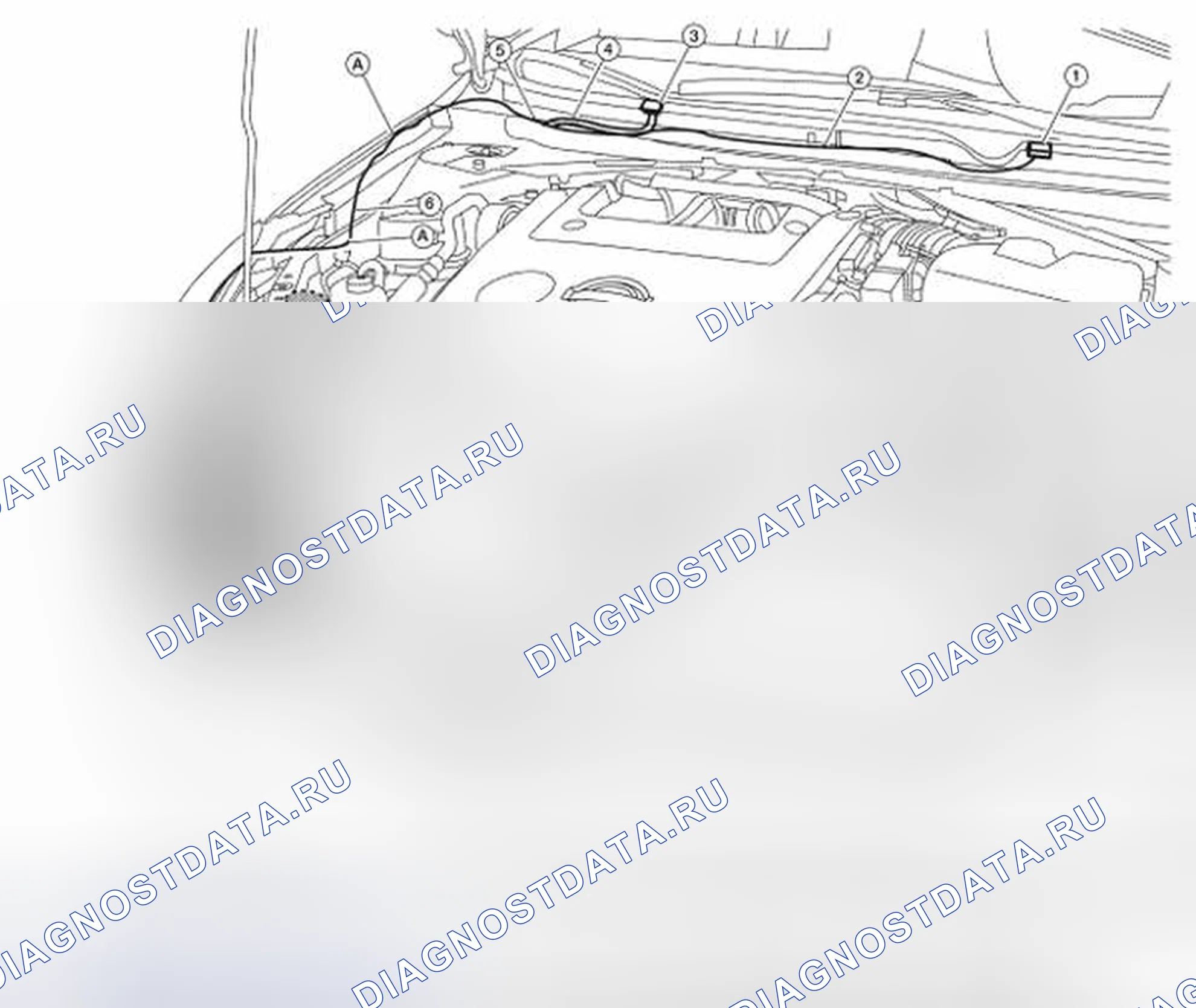 Рис. 33: ТРУБКА ШАЙБЫ: Компоновка. Nissan Altima L32