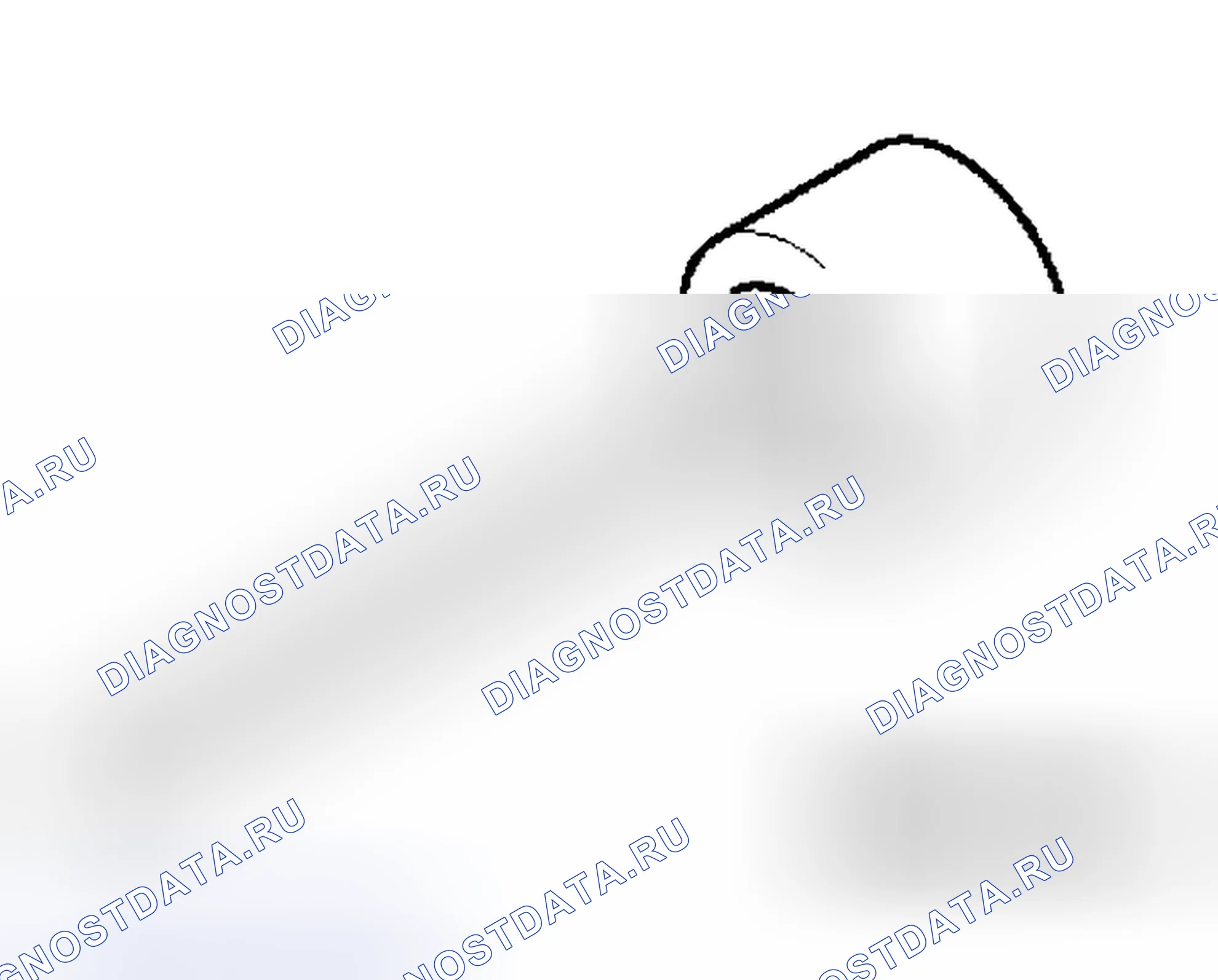 Рис. 56. Honda Envix I