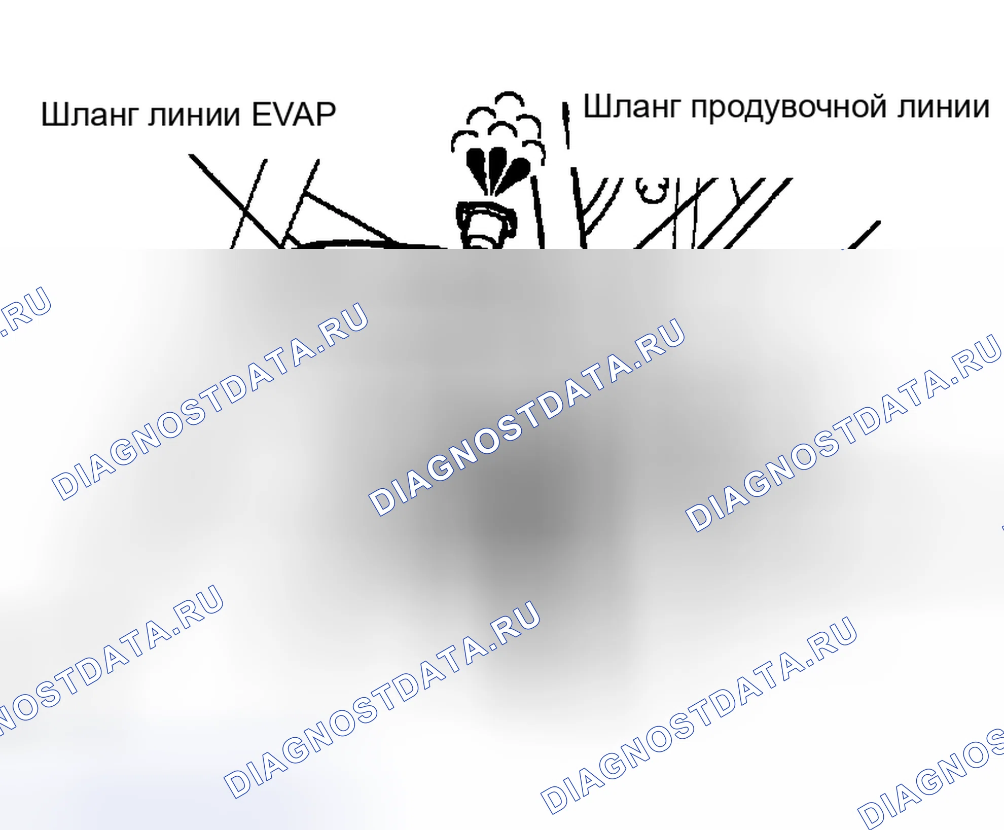 Рис. 17. Scion xA I