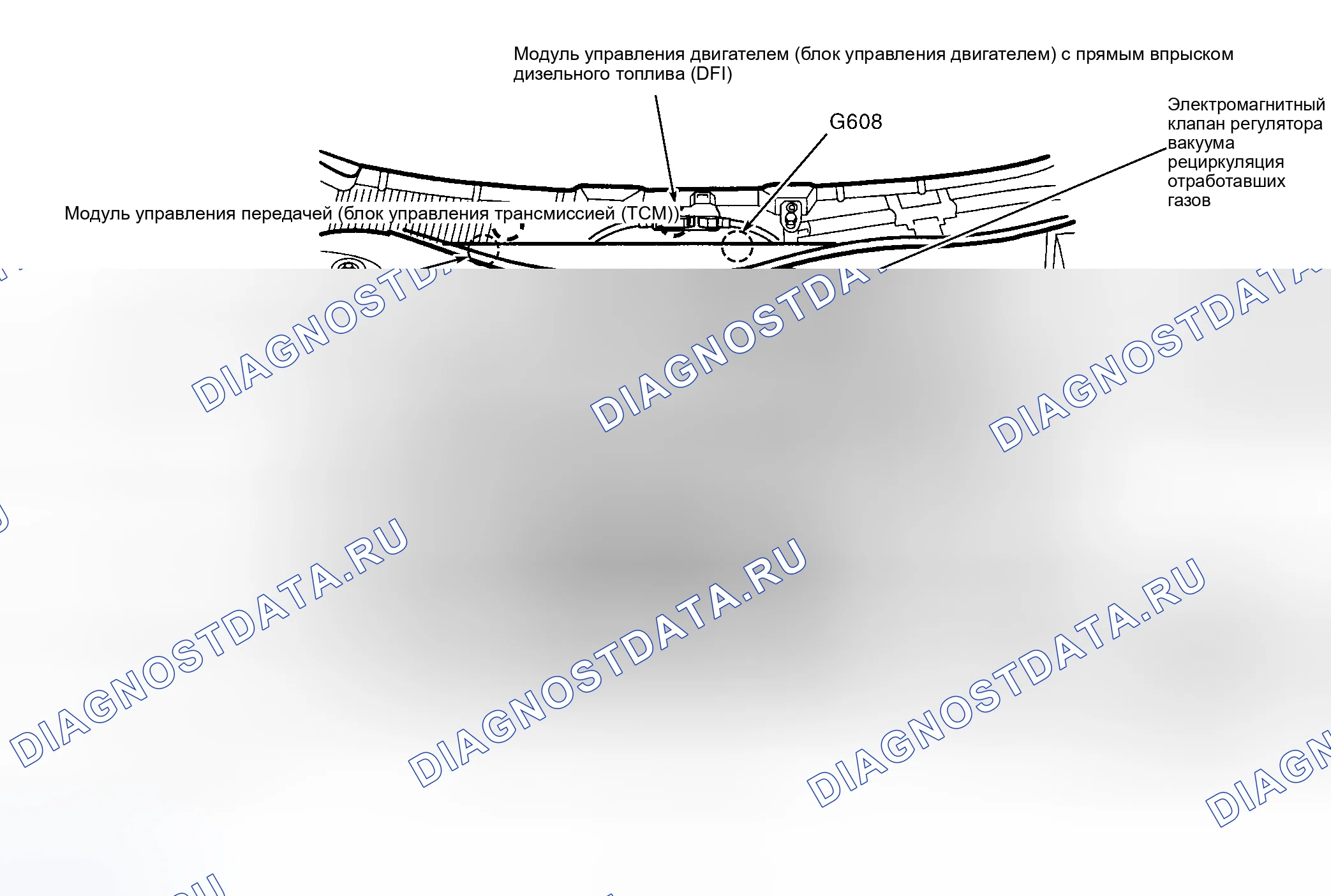 Рис. 1: ГРАФИКИ РАСПОЛОЖЕНИЯ КОМПОНЕНТОВ. Volkswagen Jetta IV