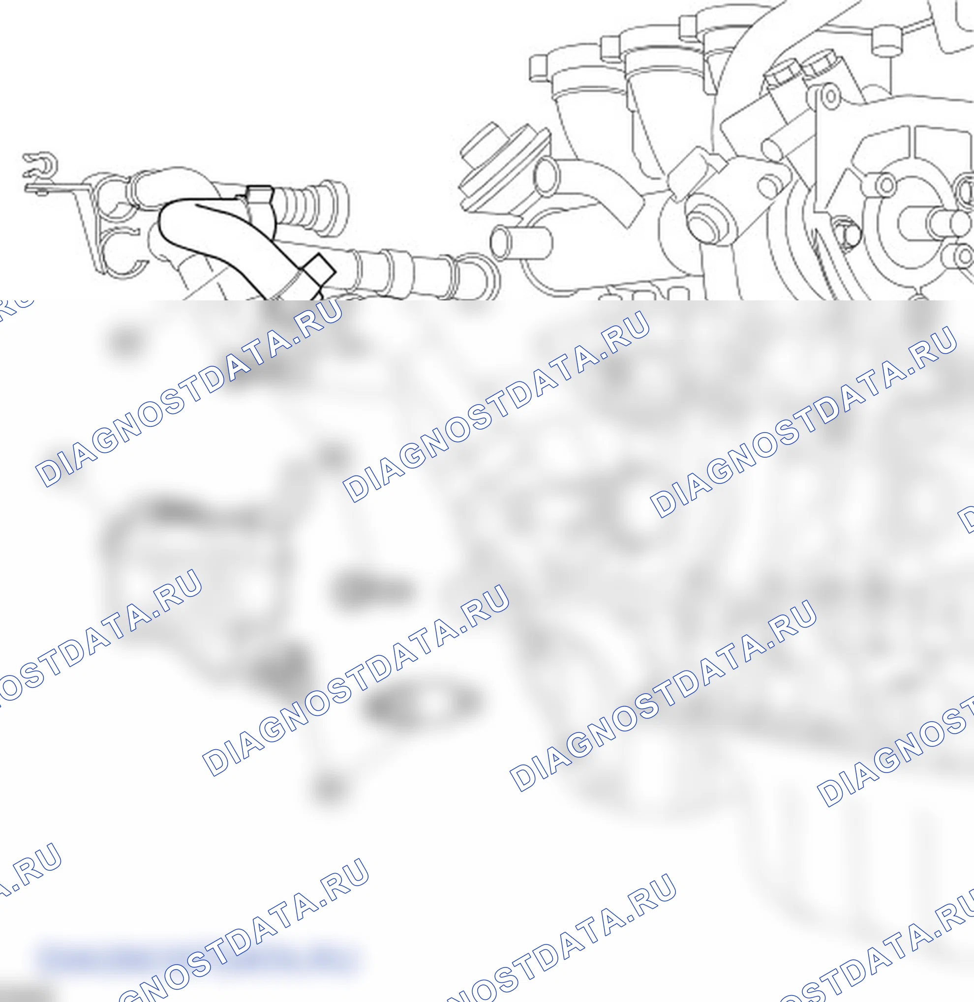 Разборка двигателя. Ford C-MAX I рестайлинг