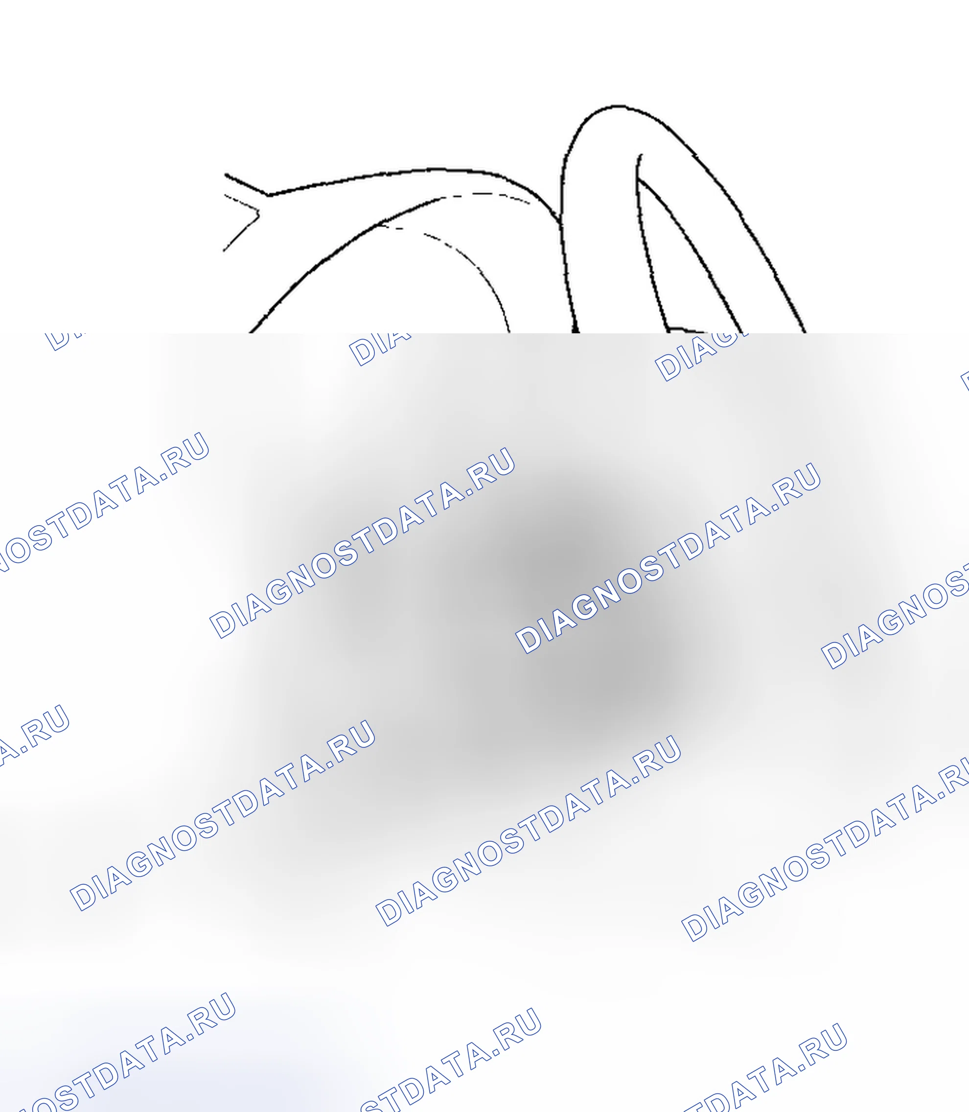 Рис. 193. Acura RSX I