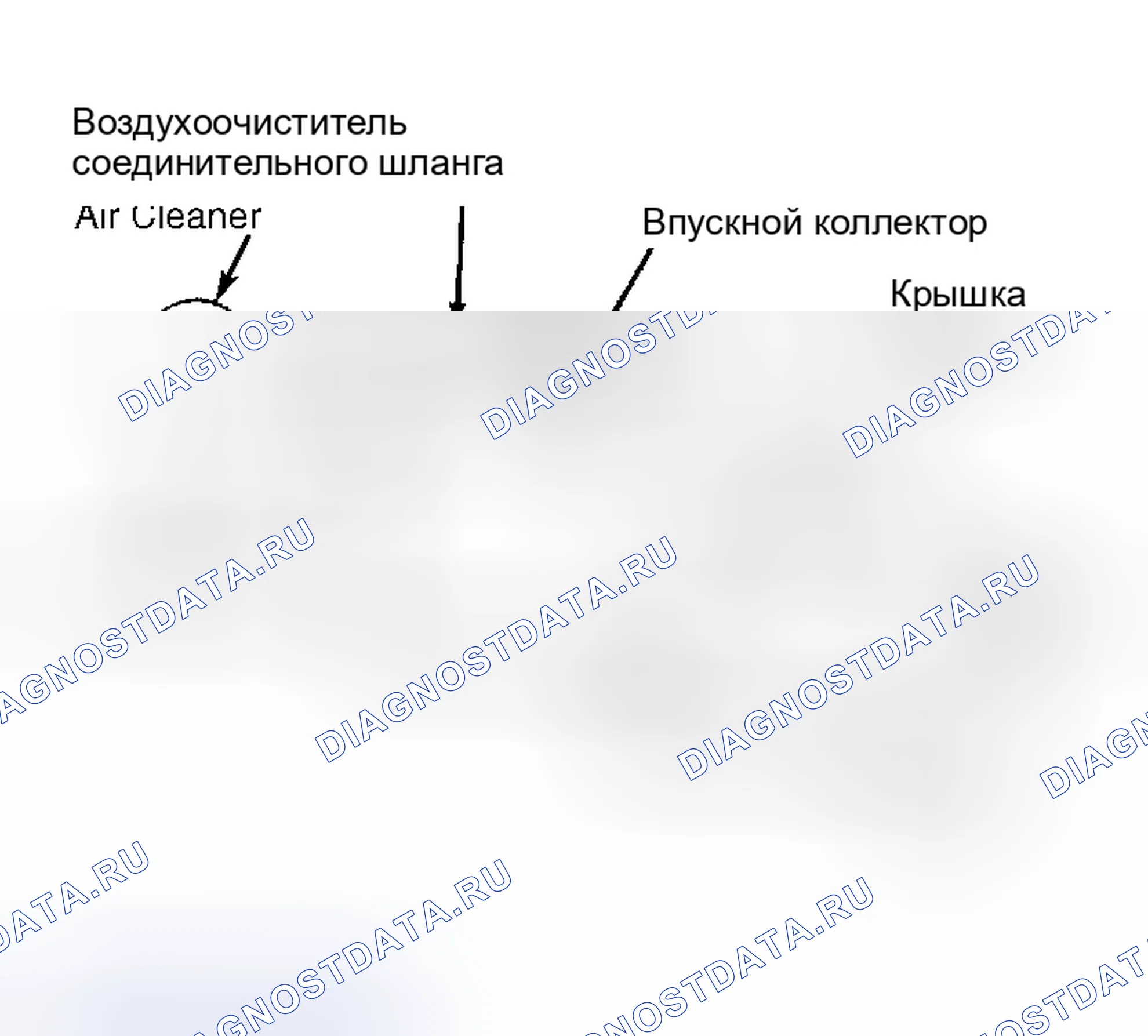 Рис. 1: Система вентиляции картера (типовая). Volkswagen Golf Mk1