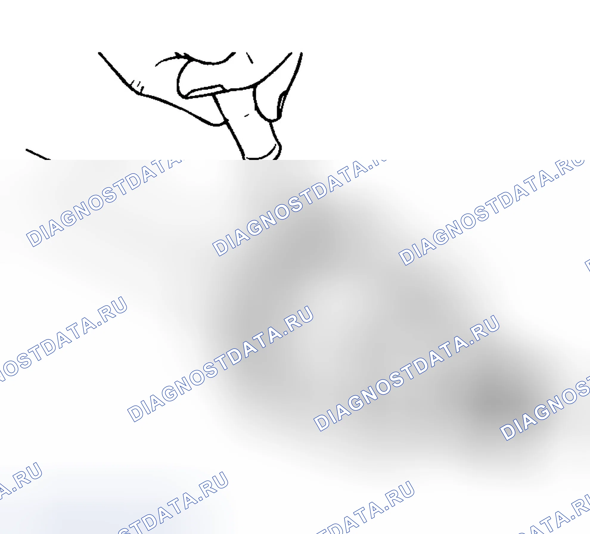 Рис. 33: РАЗБОРКА. Hyundai Tiburon II рестайлинг