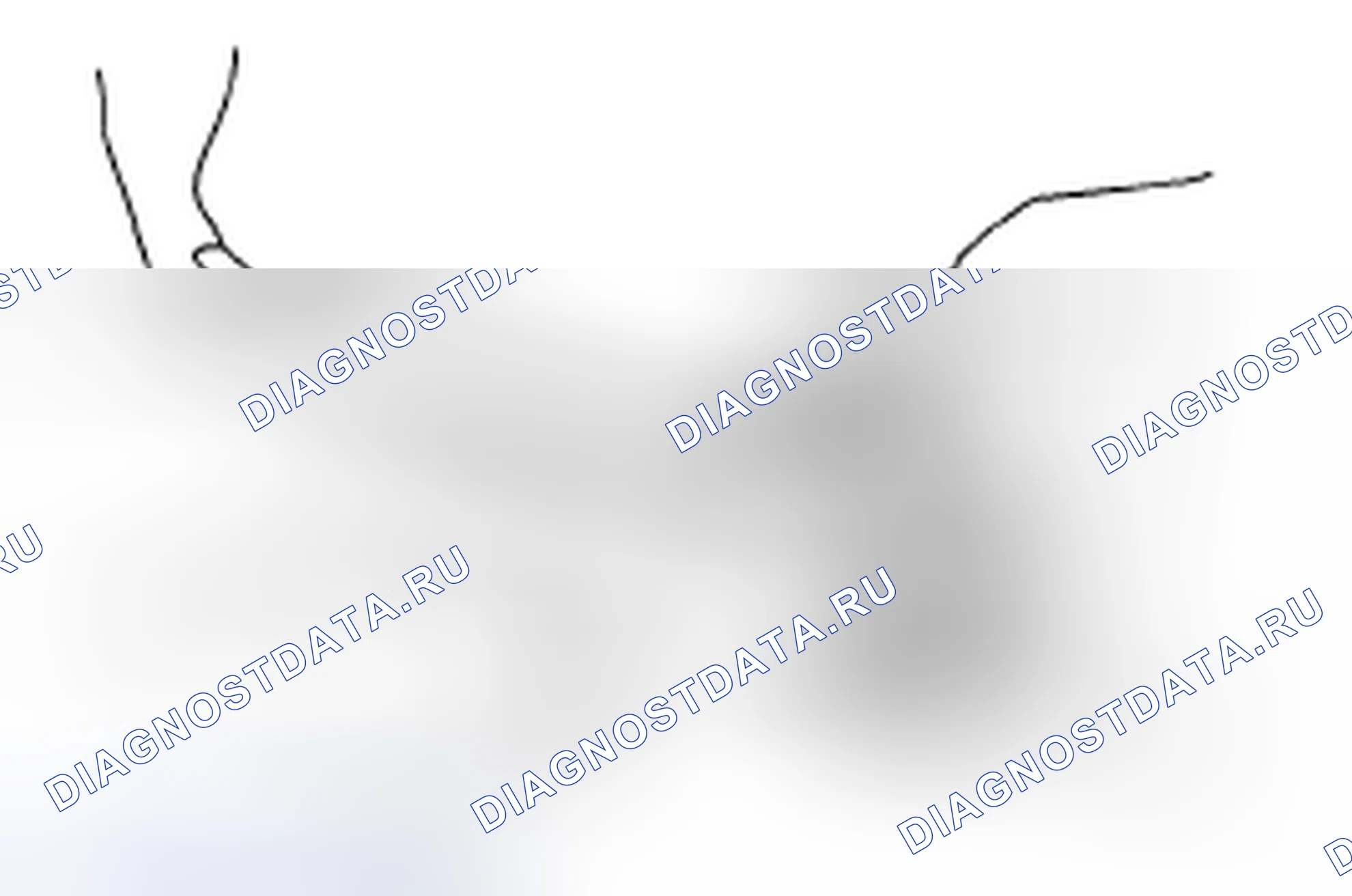 Рис. 16. Subaru Tribeca WX рестайлинг