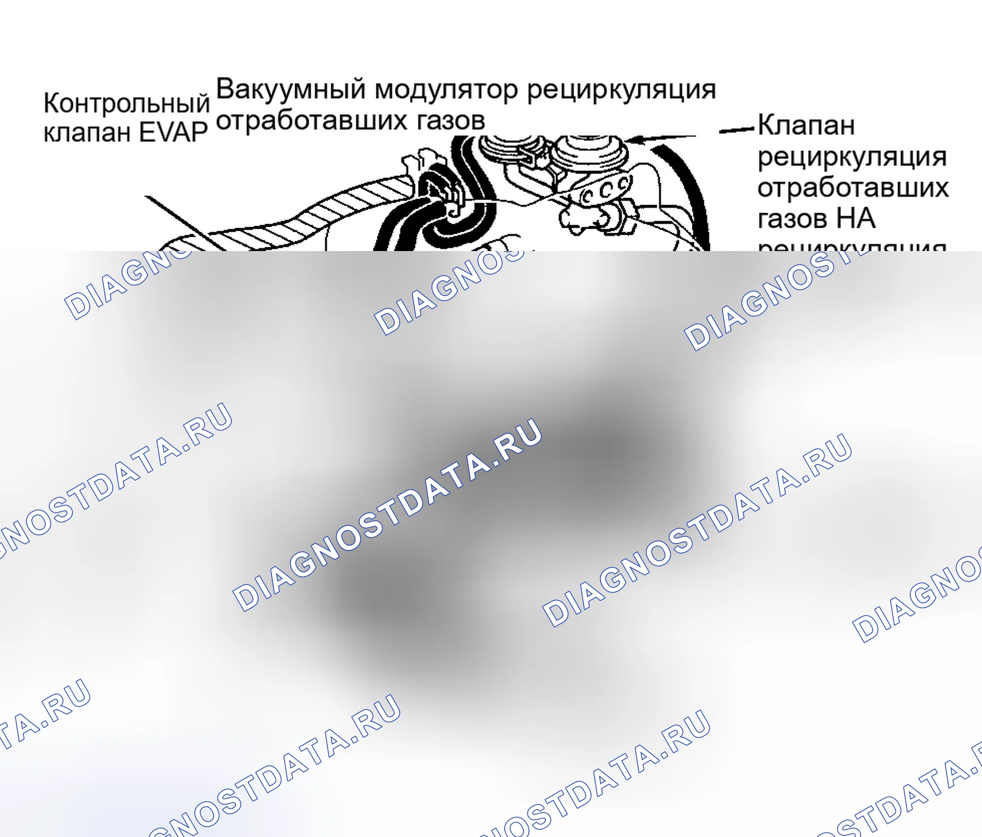Рис. 10. Honda Accord X рестайлинг
