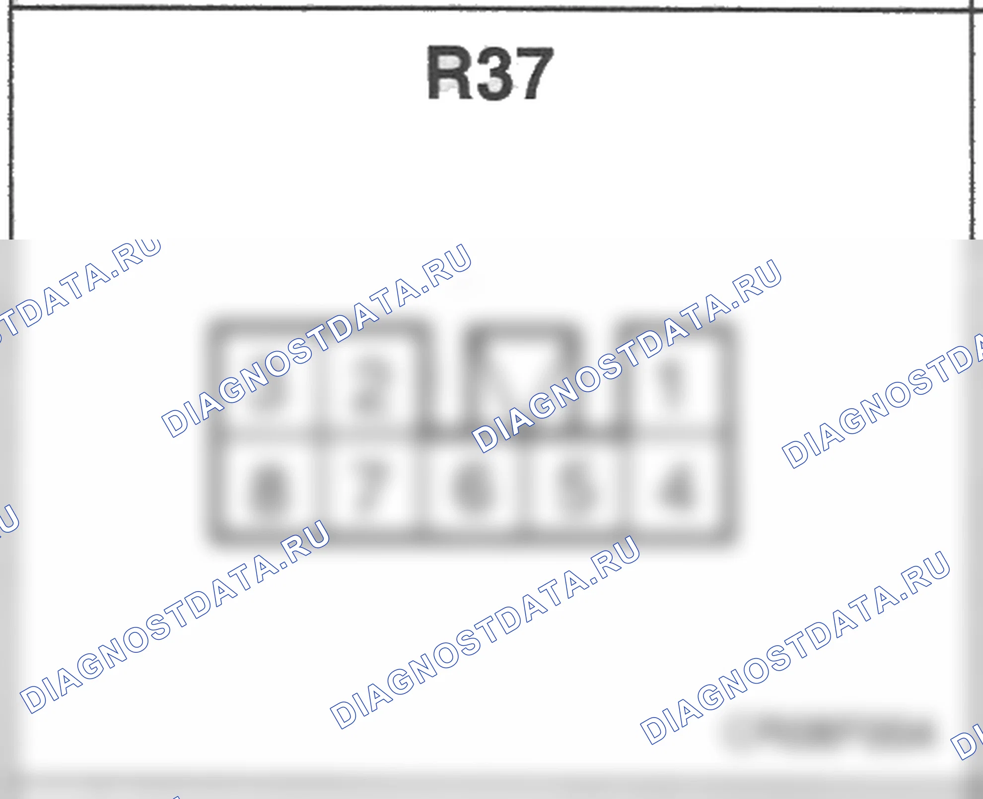 Распиновка разъёма R37 — заднего жгута. Hyundai H-1 A1