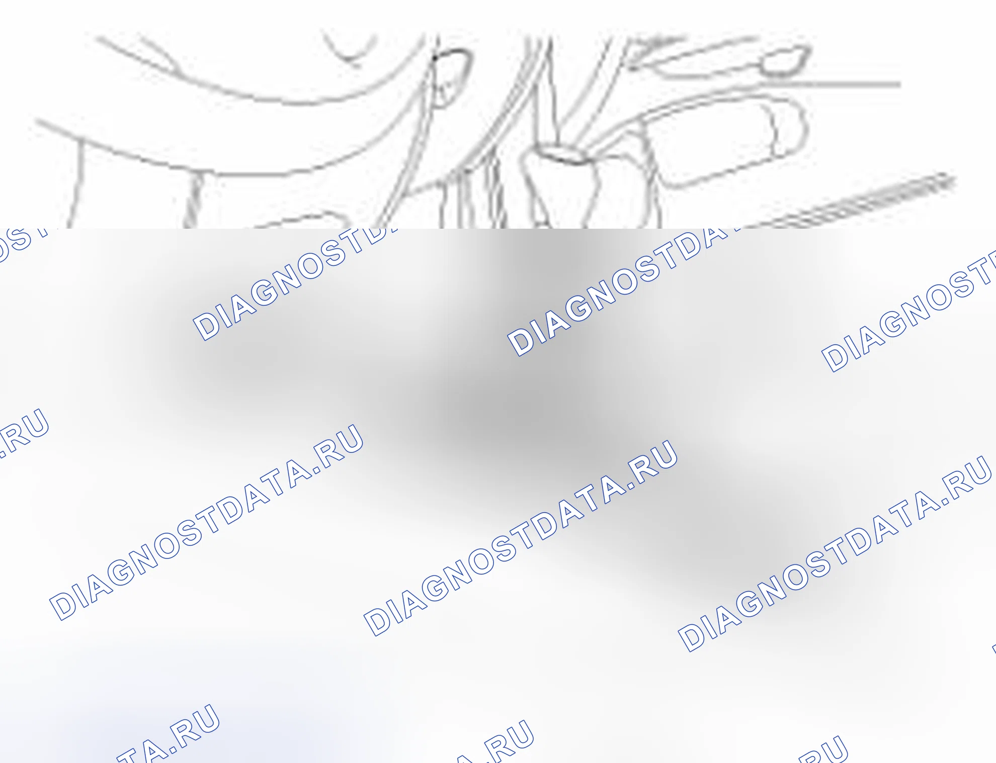 Рис. 3. Geely Panda I
