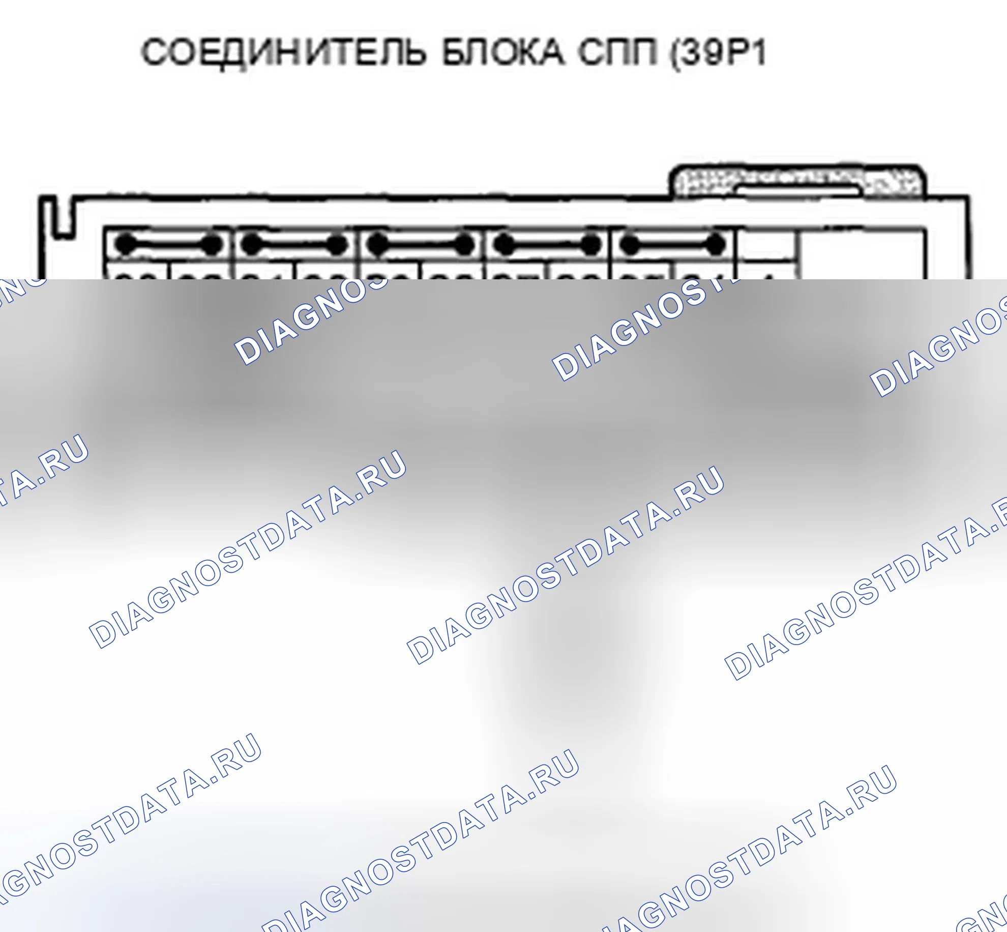 Рис. 477. Honda Crosstour I