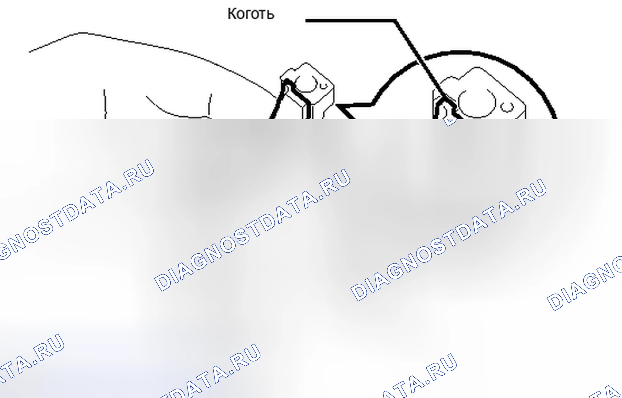 Рис. 760. Toyota Corolla X рестайлинг
