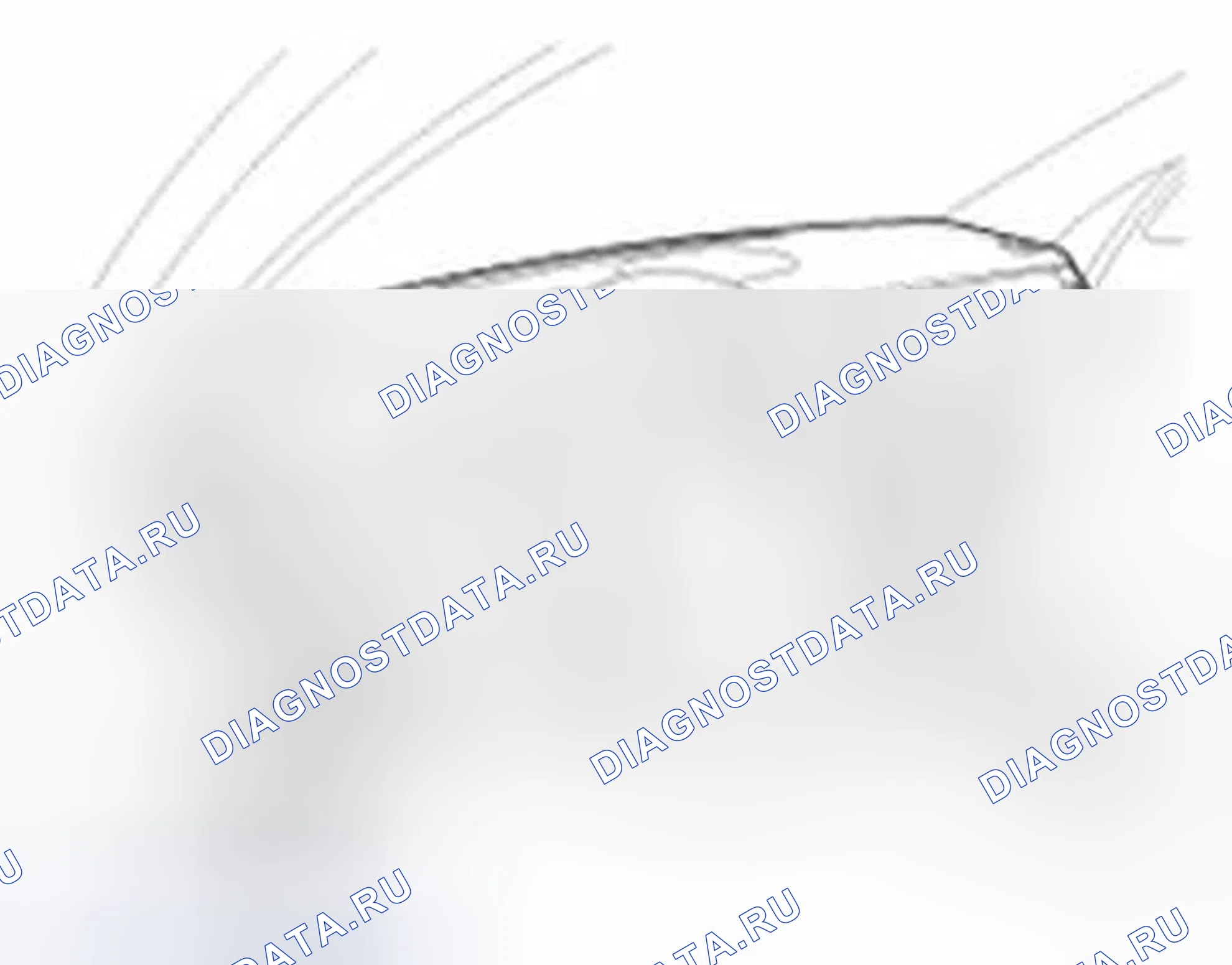 Рис. 64: Сохранение кода смарт-ключа. Hyundai Equus II
