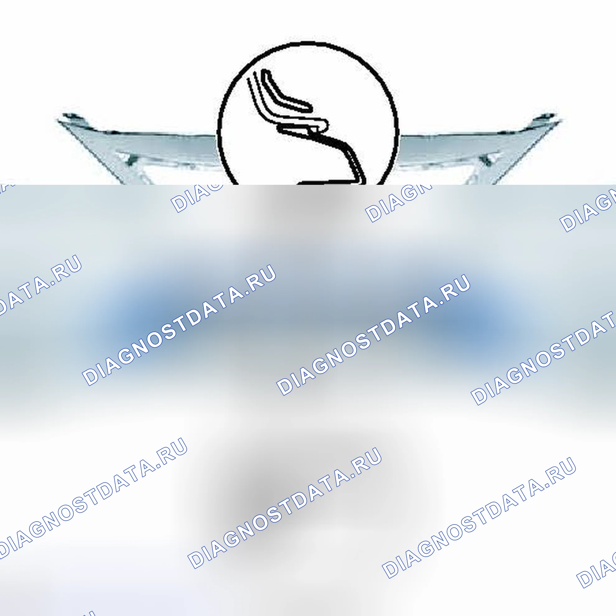 Рис. 39. Haval H3 I