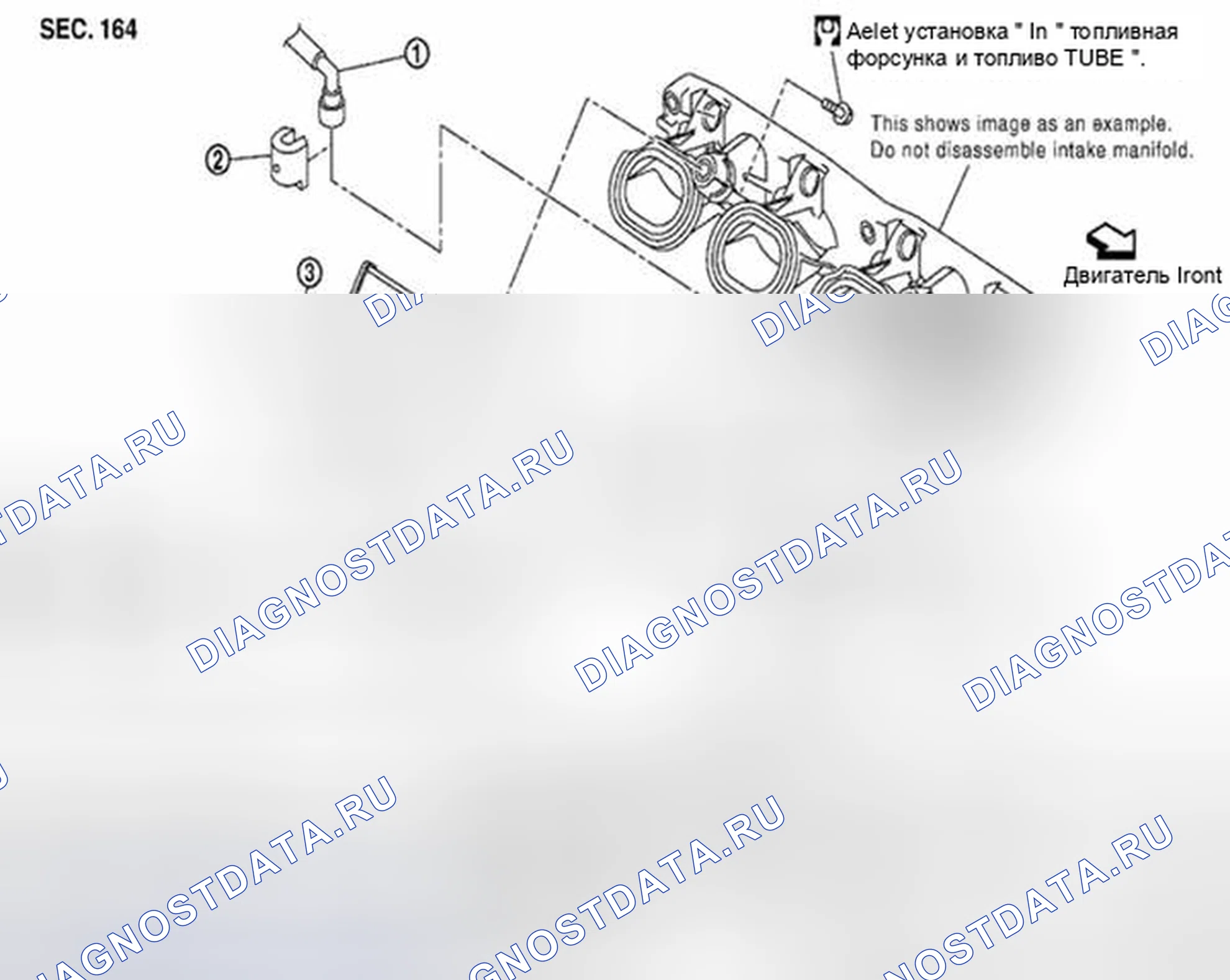 Рис. 47: Топливный инжектор и топливная трубка в разобранном виде [QR25DE]. Suzuki Equator I