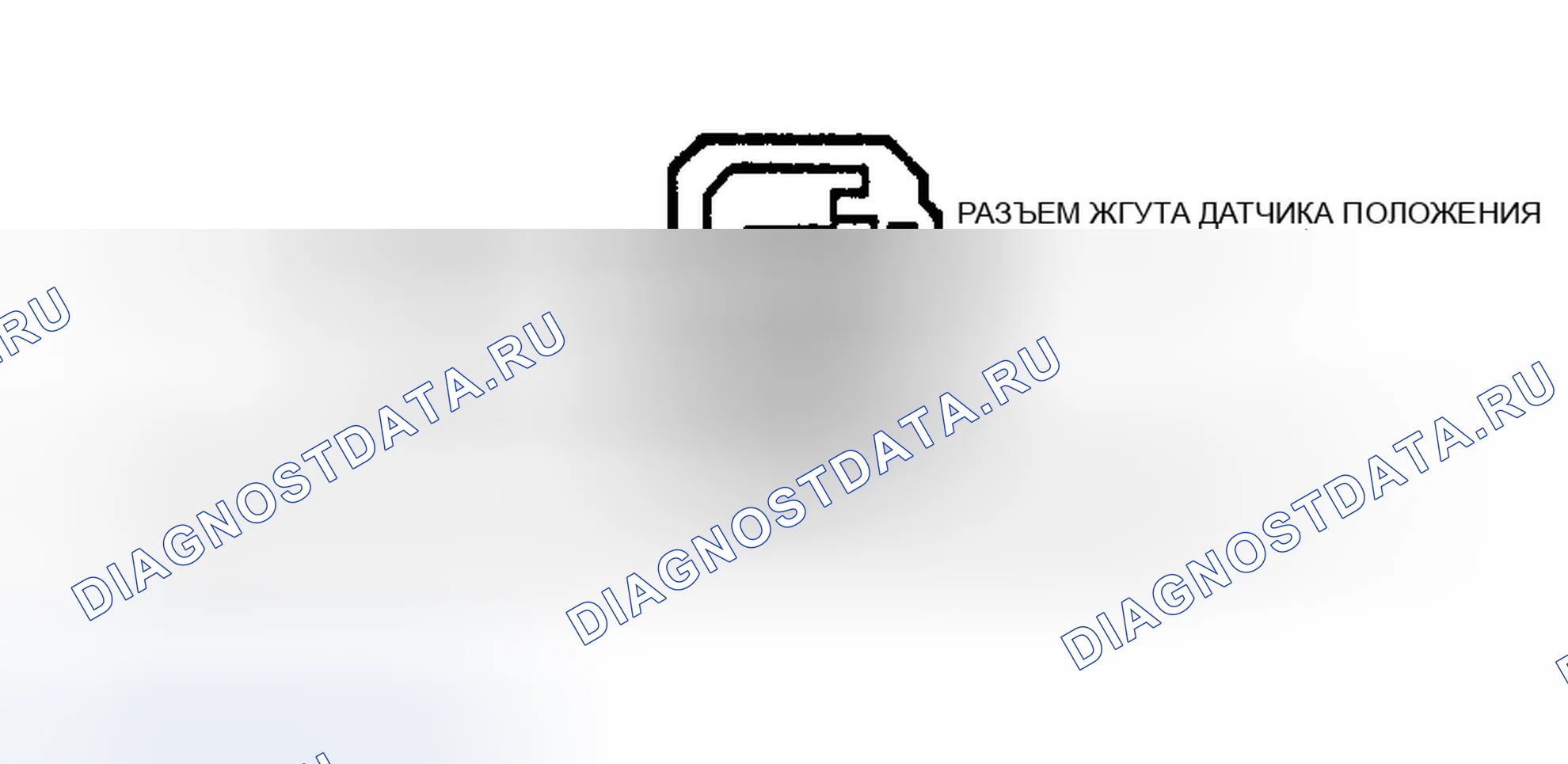 Рис. 146: Клеммы и тестовые цепи разъема датчика Ckp. Ford Club Wagon E150 