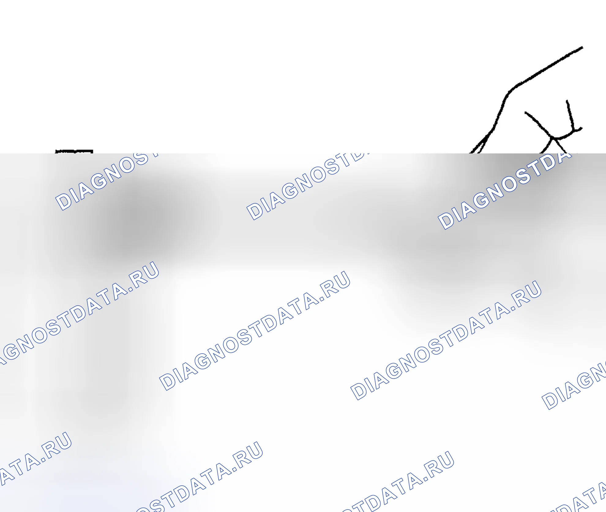 Рис. 1293. Hyundai Terracan I
