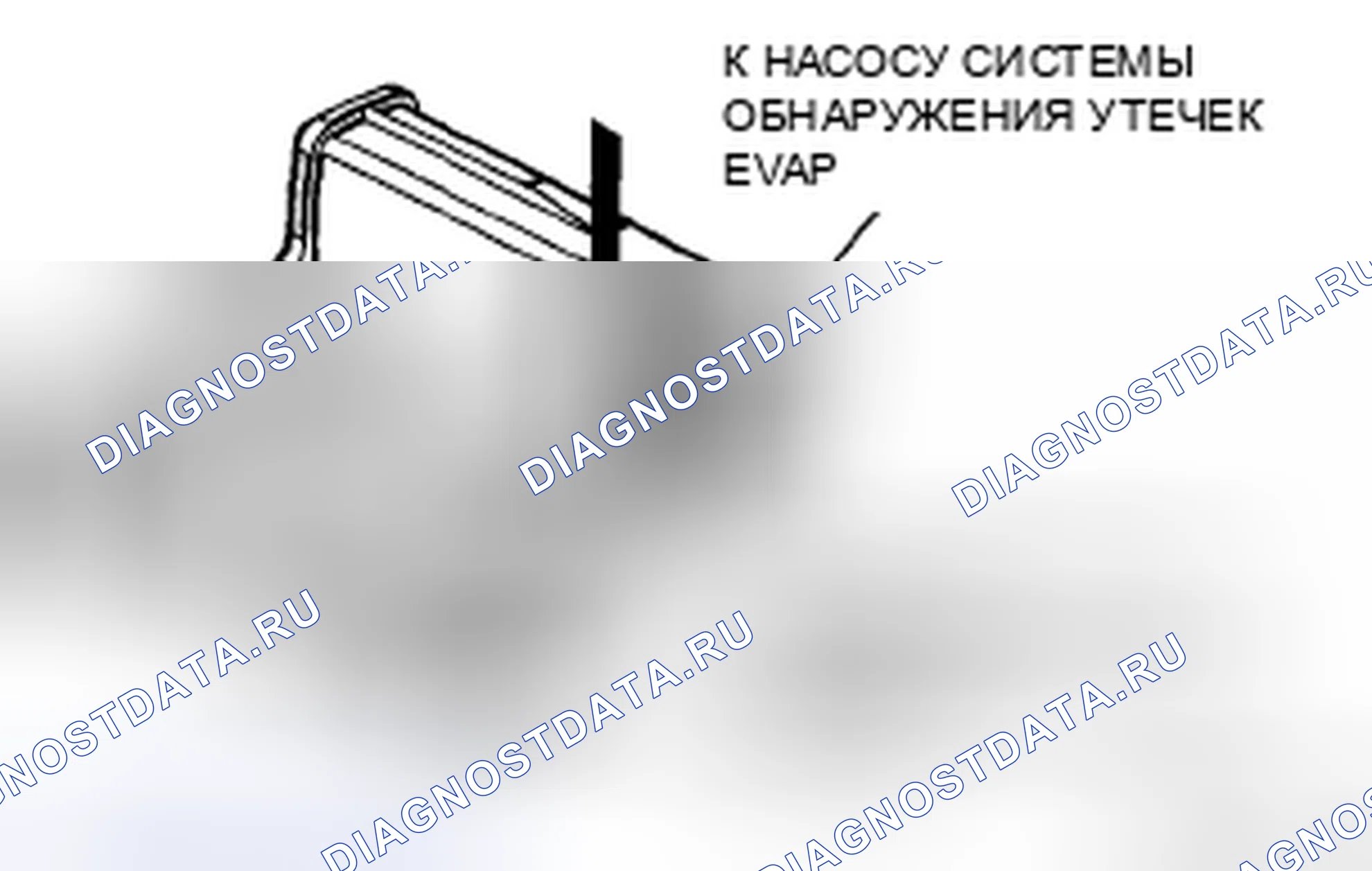 Рис. 15: ИНСПЕКЦИЯ УГОЛЬНЫХ КАНИСТР [Lf, L3]. Audi R8 I