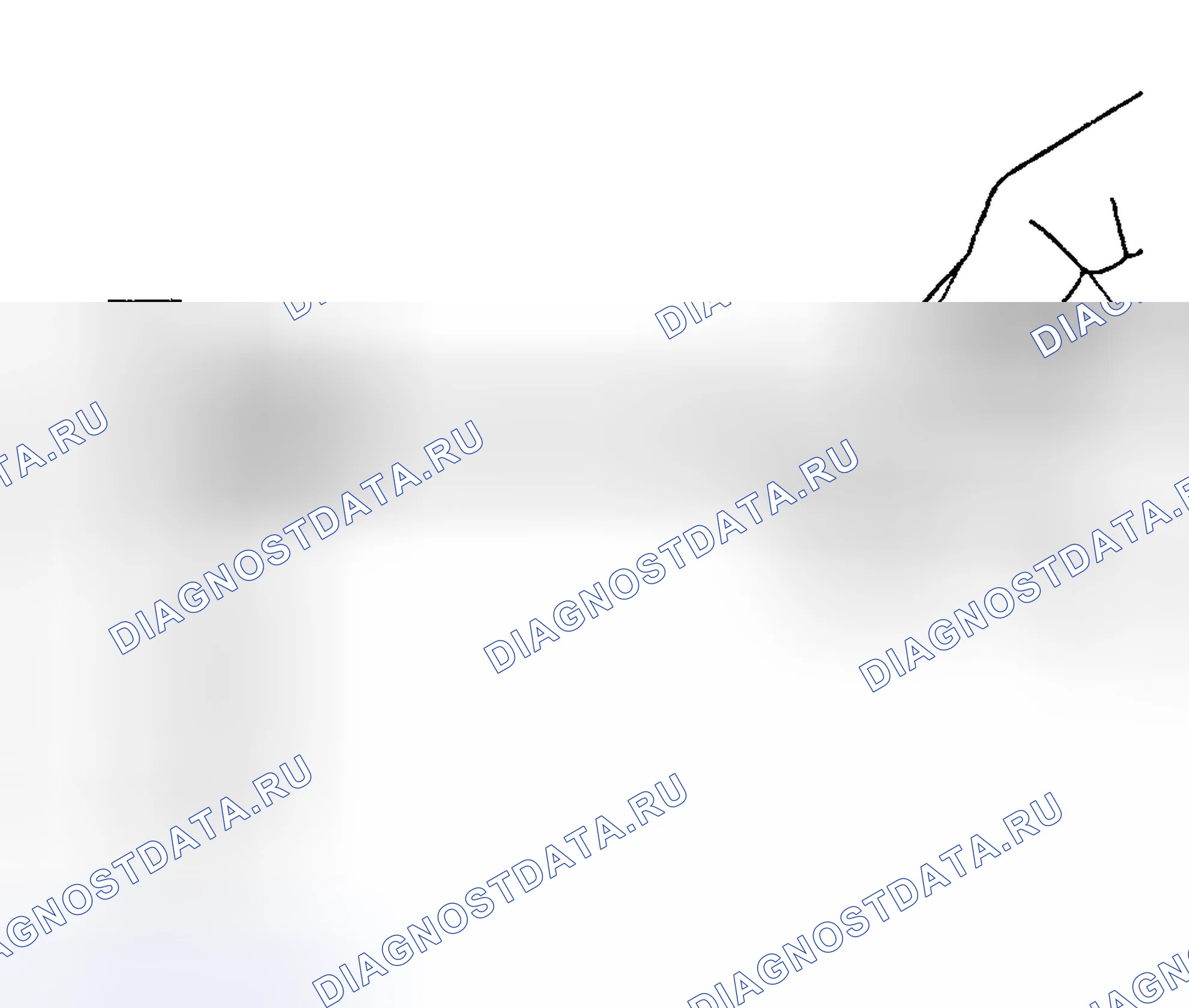 Рис. 1337. Hyundai Terracan I