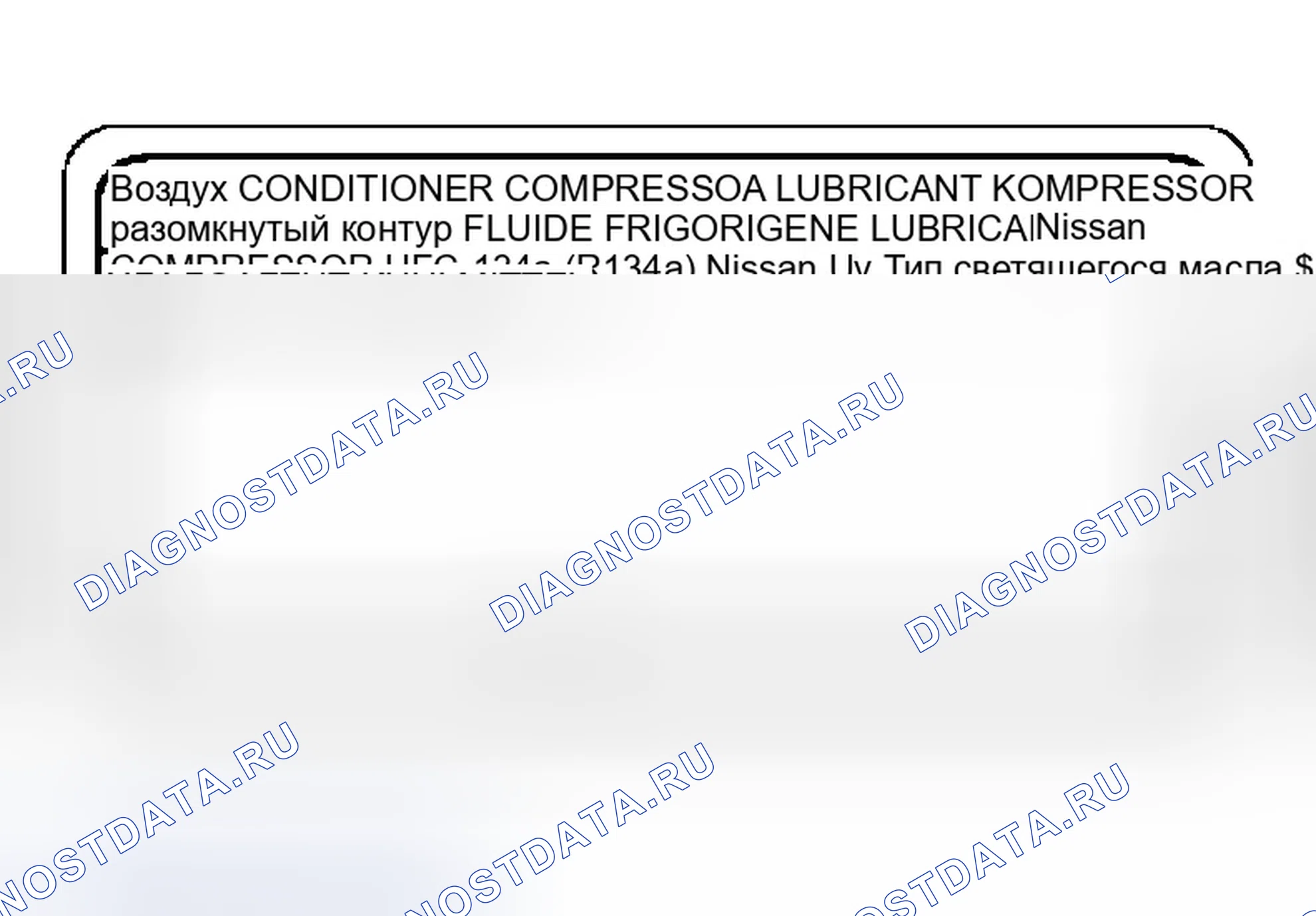 Рис. 1: ИДЕНТИФИКАЦИОННАЯ ЭТИКЕТКА ТРАНСПОРТНОГО СРЕДСТВА. Infiniti M45 II