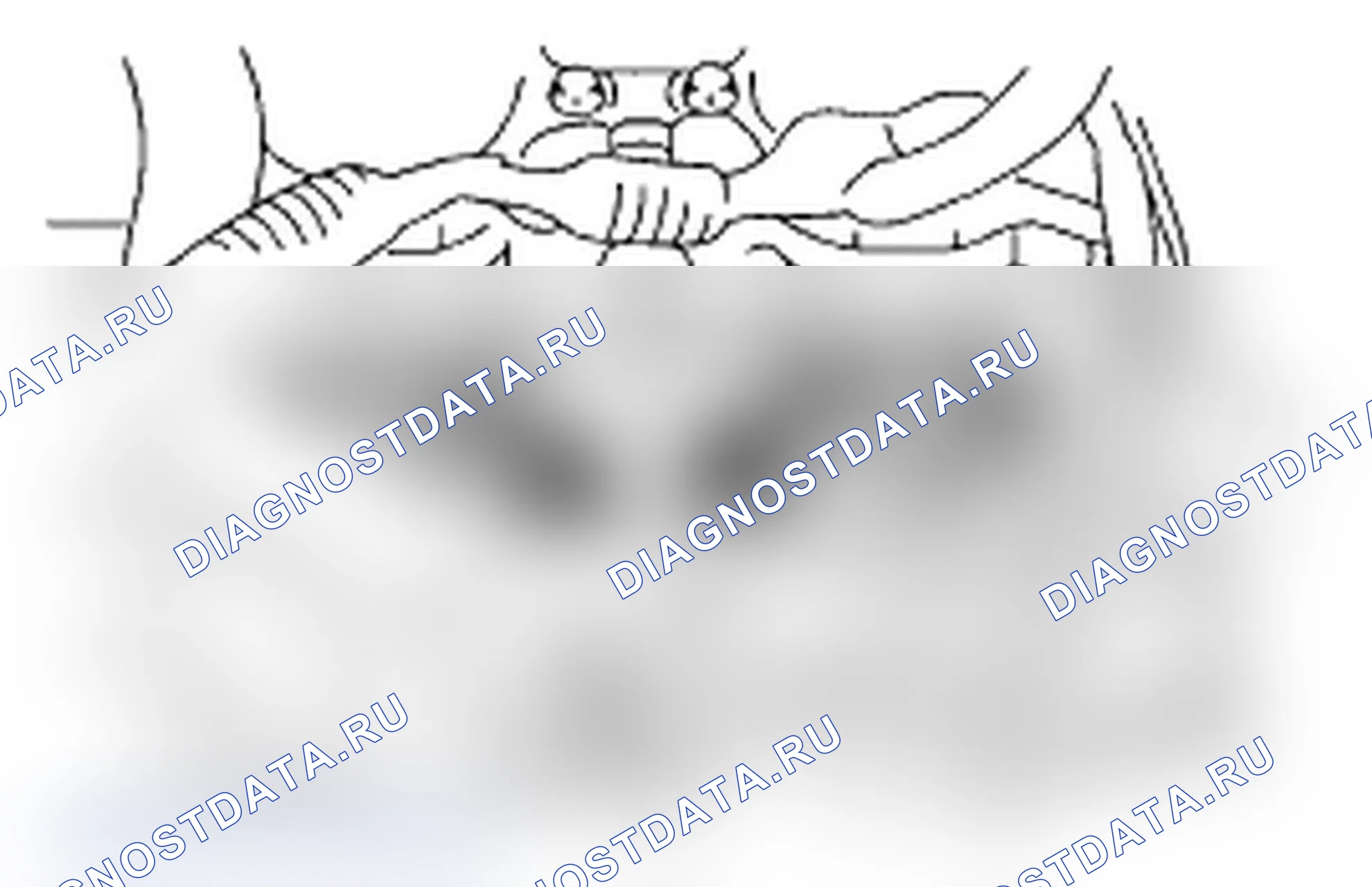 Рис. 460. Subaru Impreza WRX GD/GG рестайлинг 2