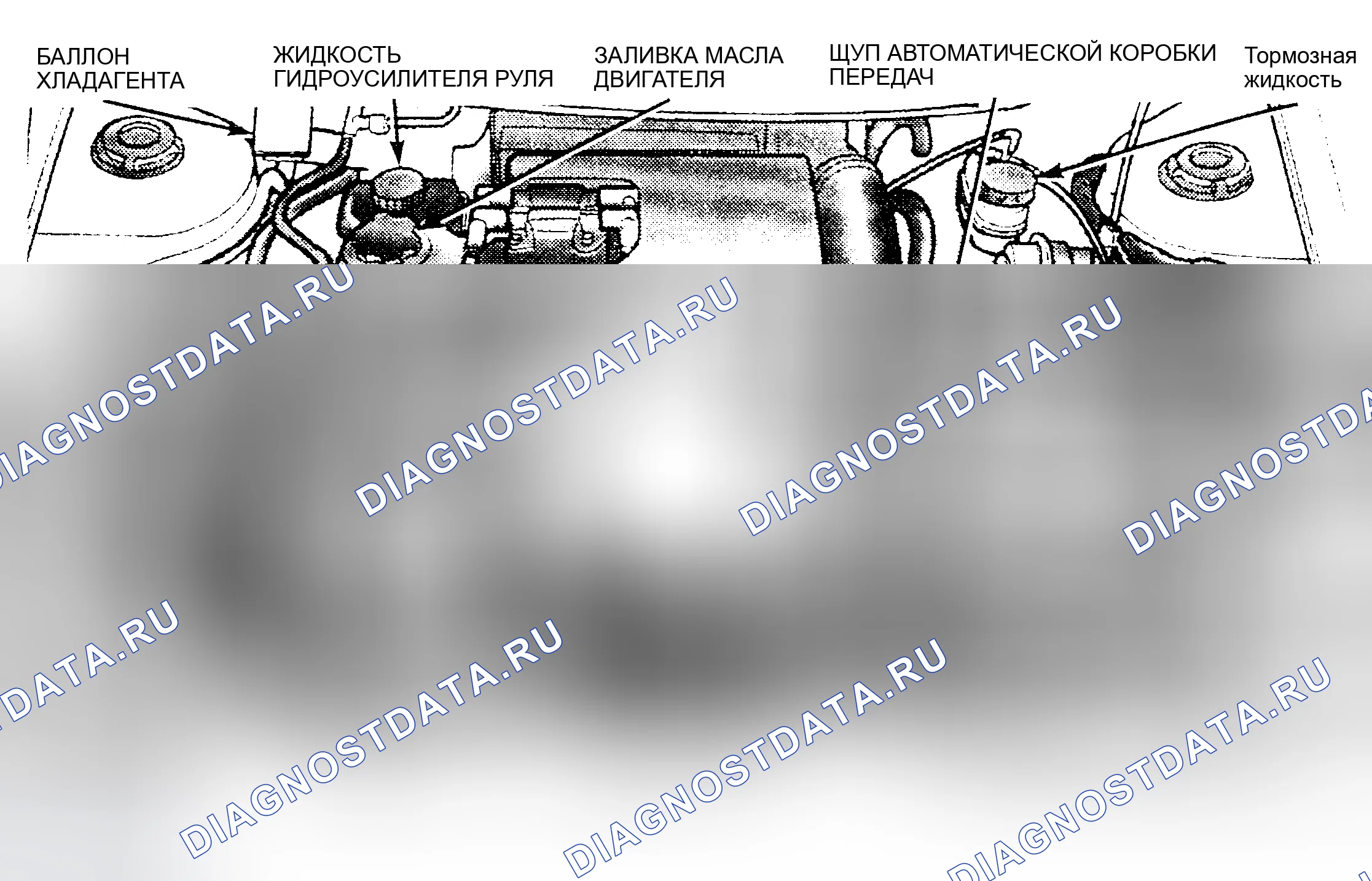 Рис. 1: РАСПОЛОЖЕНИЕ ТОЧЕК ОБСЛУЖИВАНИЯ. Hyundai Veloster I рестайлинг