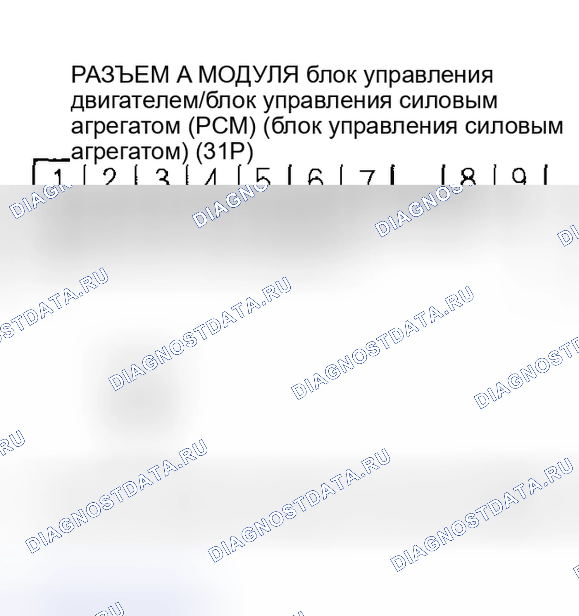Рис. 391. Acura RSX I