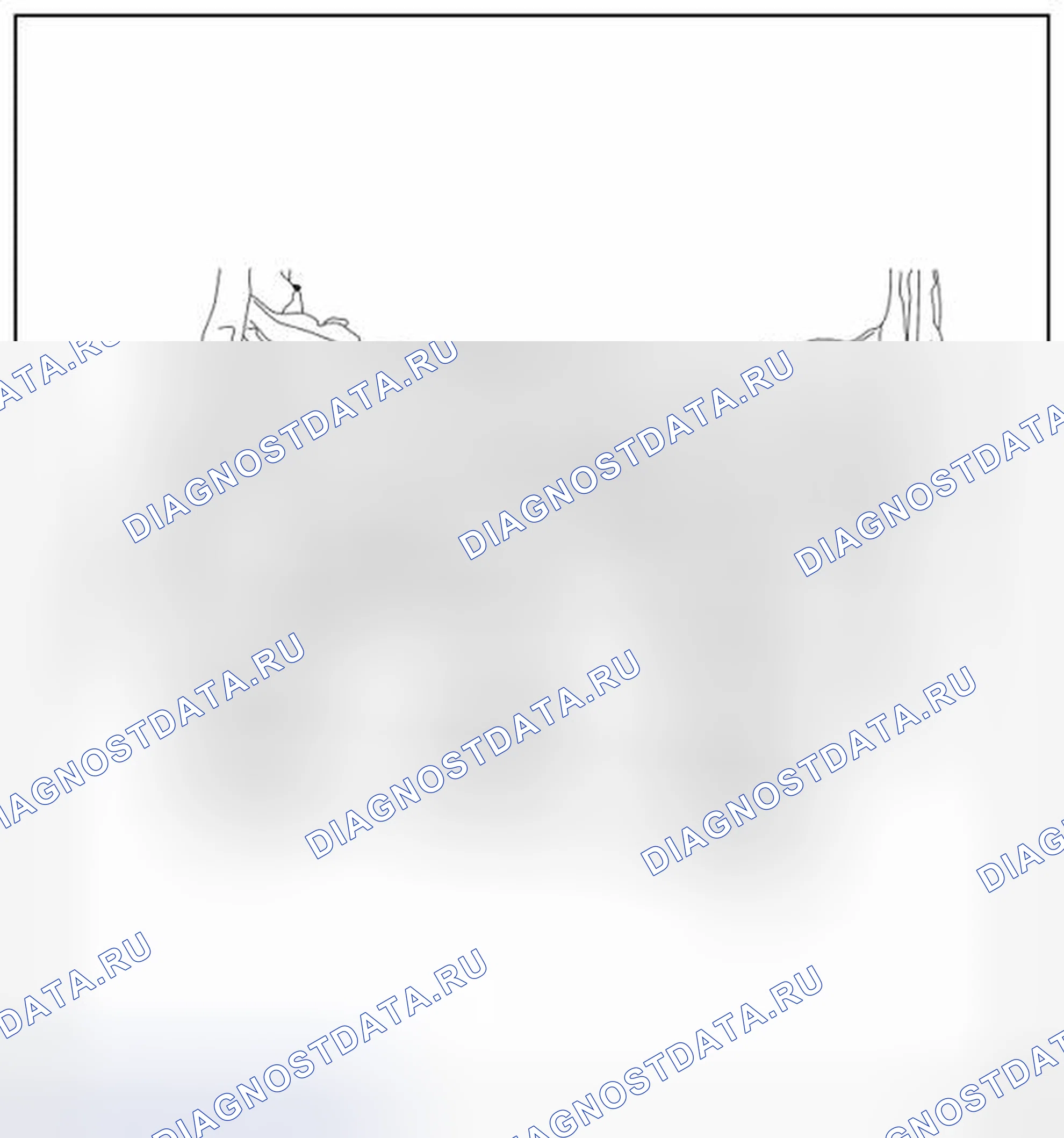 Рис. 199: ИЗМЕРЕНИЕ. Nissan Leaf I