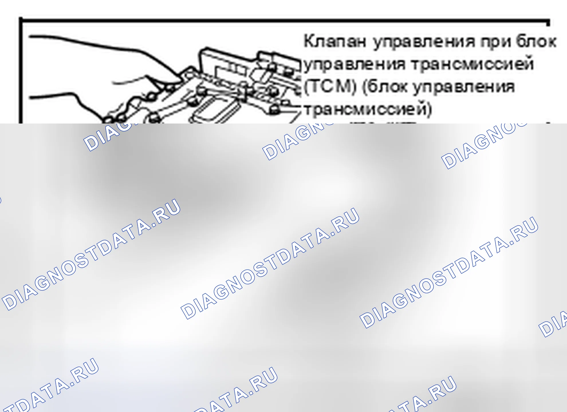 Рис. 309. Nissan Pathfinder III рестайлинг