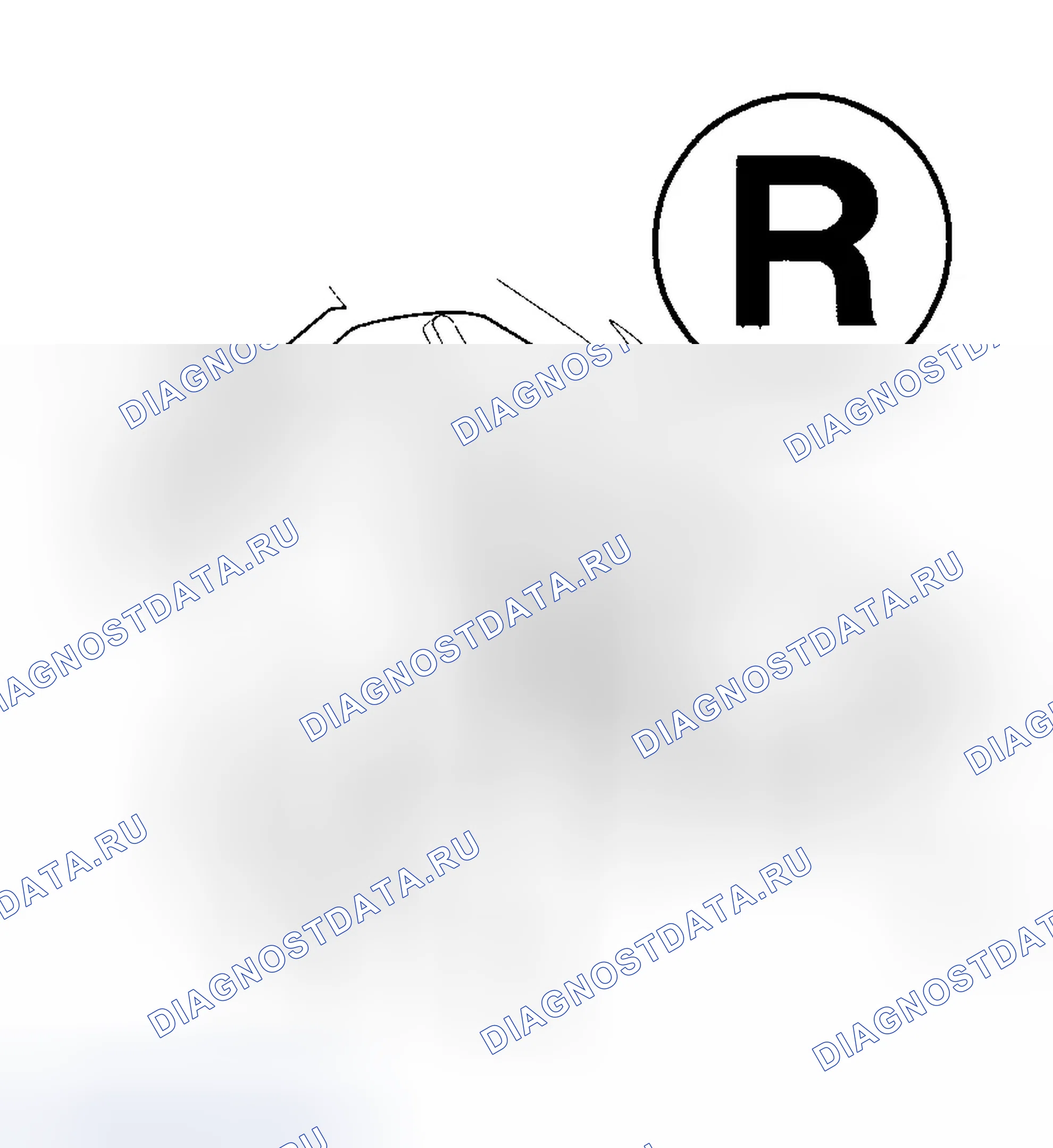 Рис. 428. Honda Element YH2