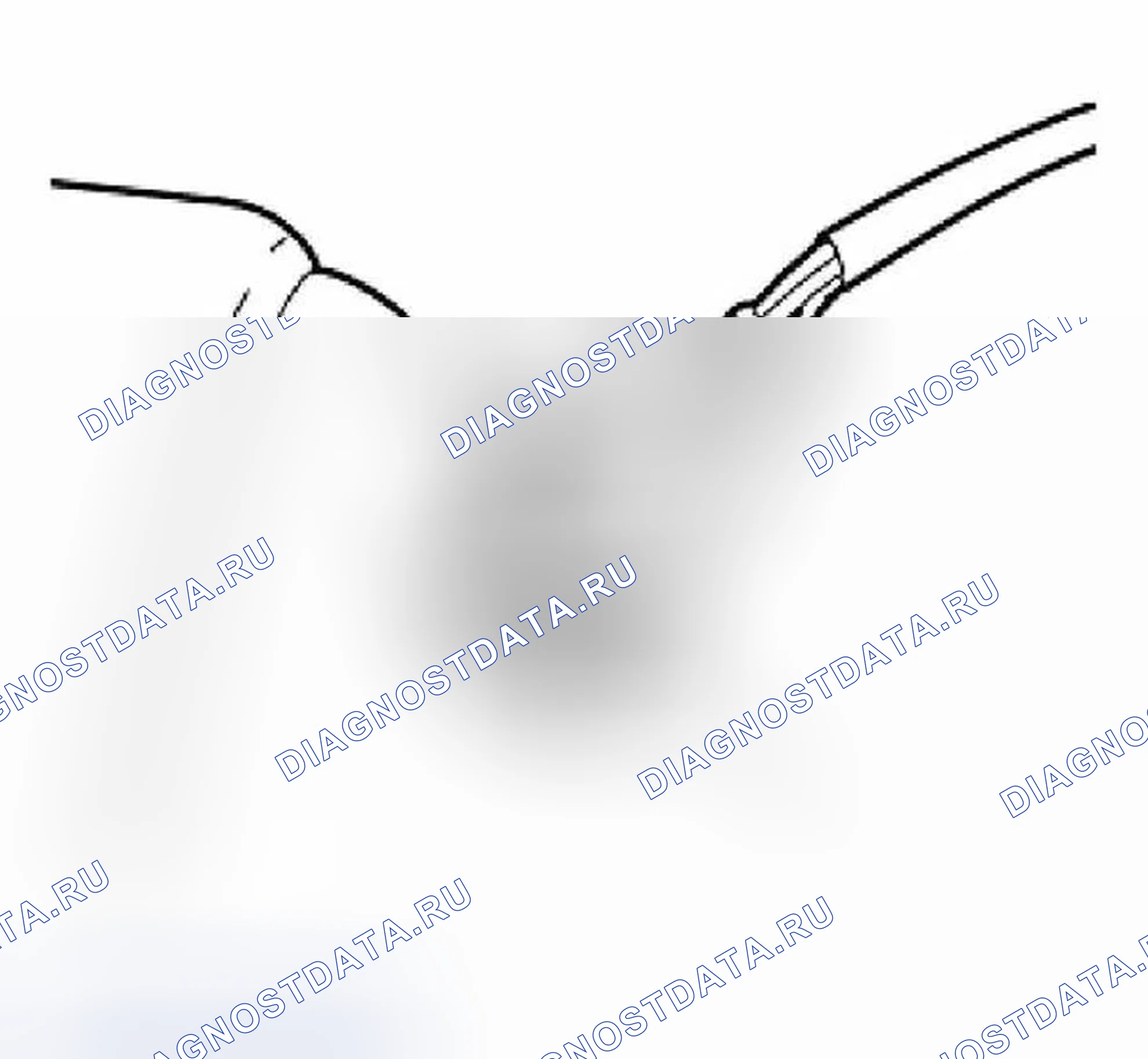 Рис. 446. BMW X3 E83