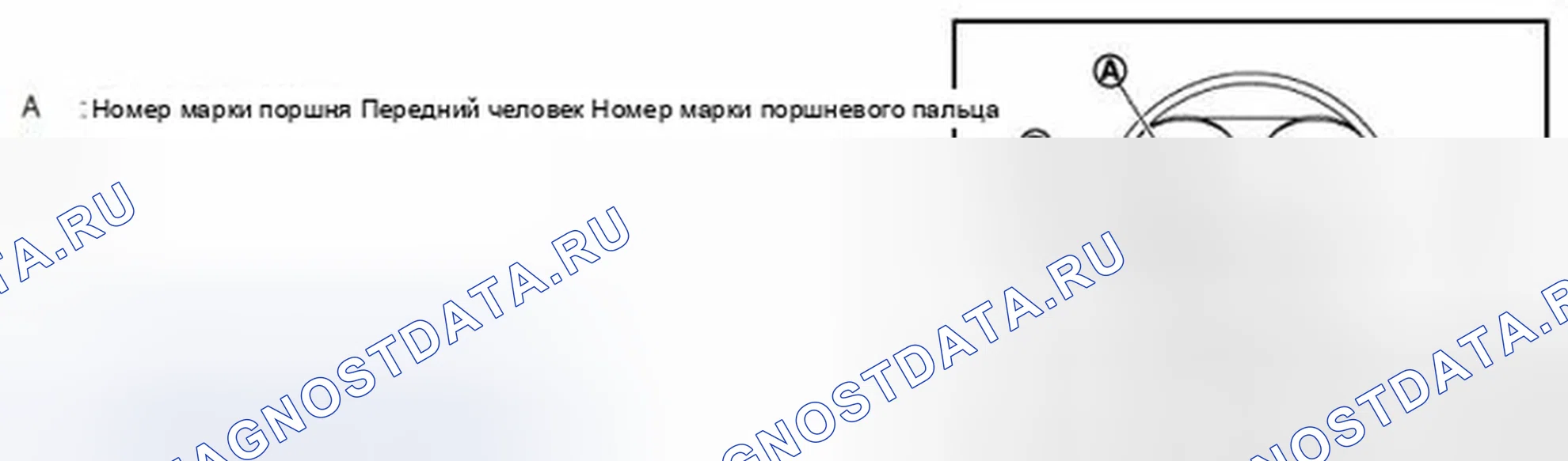 Рис. 272. Infiniti G25 IV рестайлинг