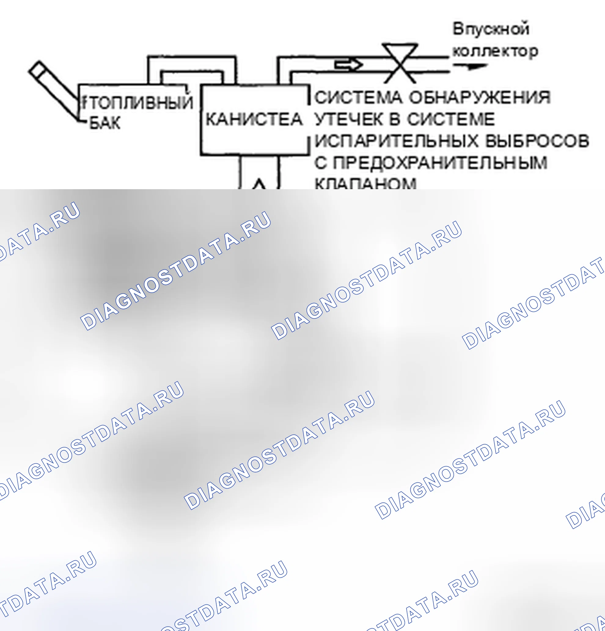 Рис. 17: Оценка неисправности системы EVAP. Honda CR-V IV
