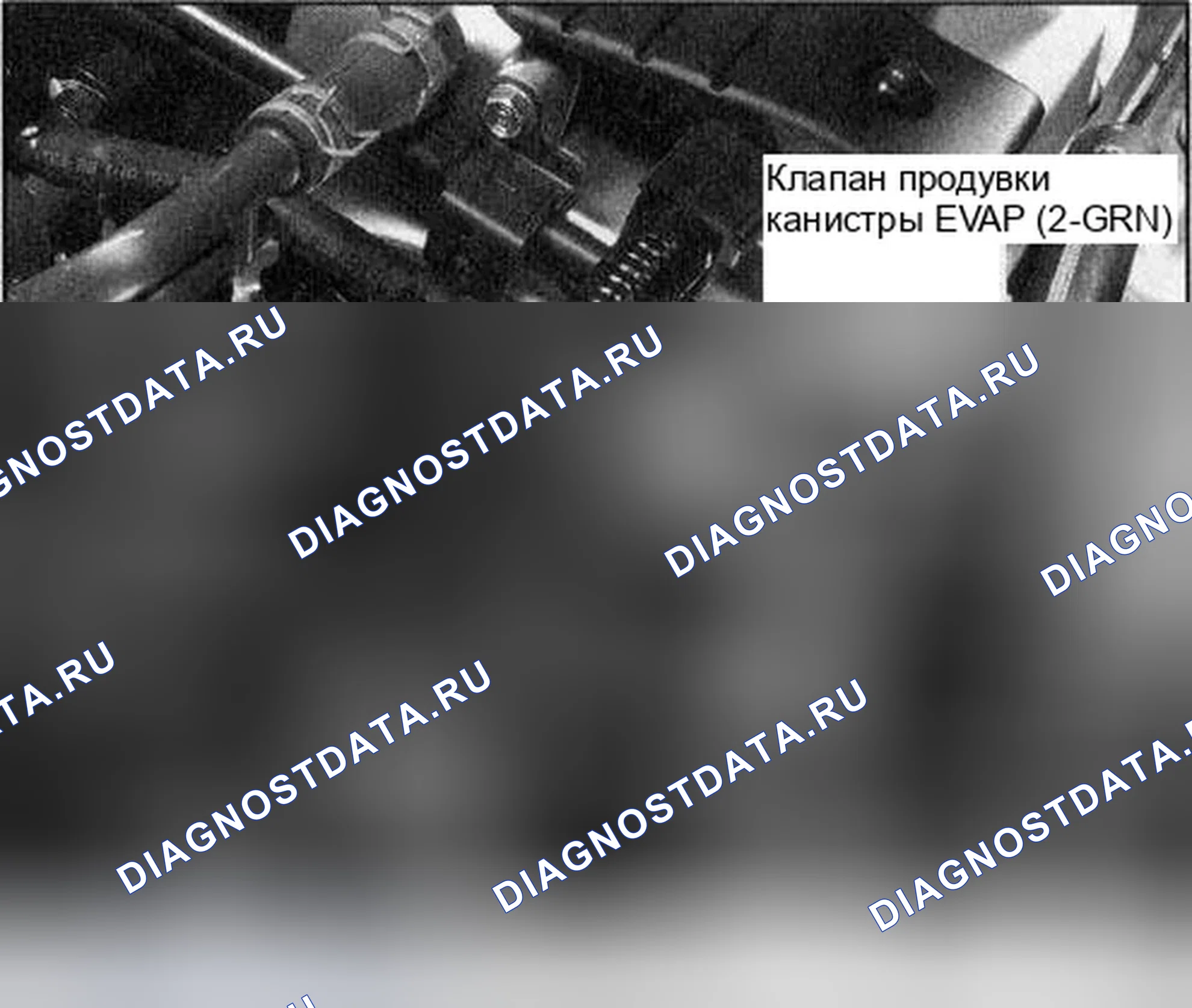 Рис. 169. Honda Accord VII рестайлинг