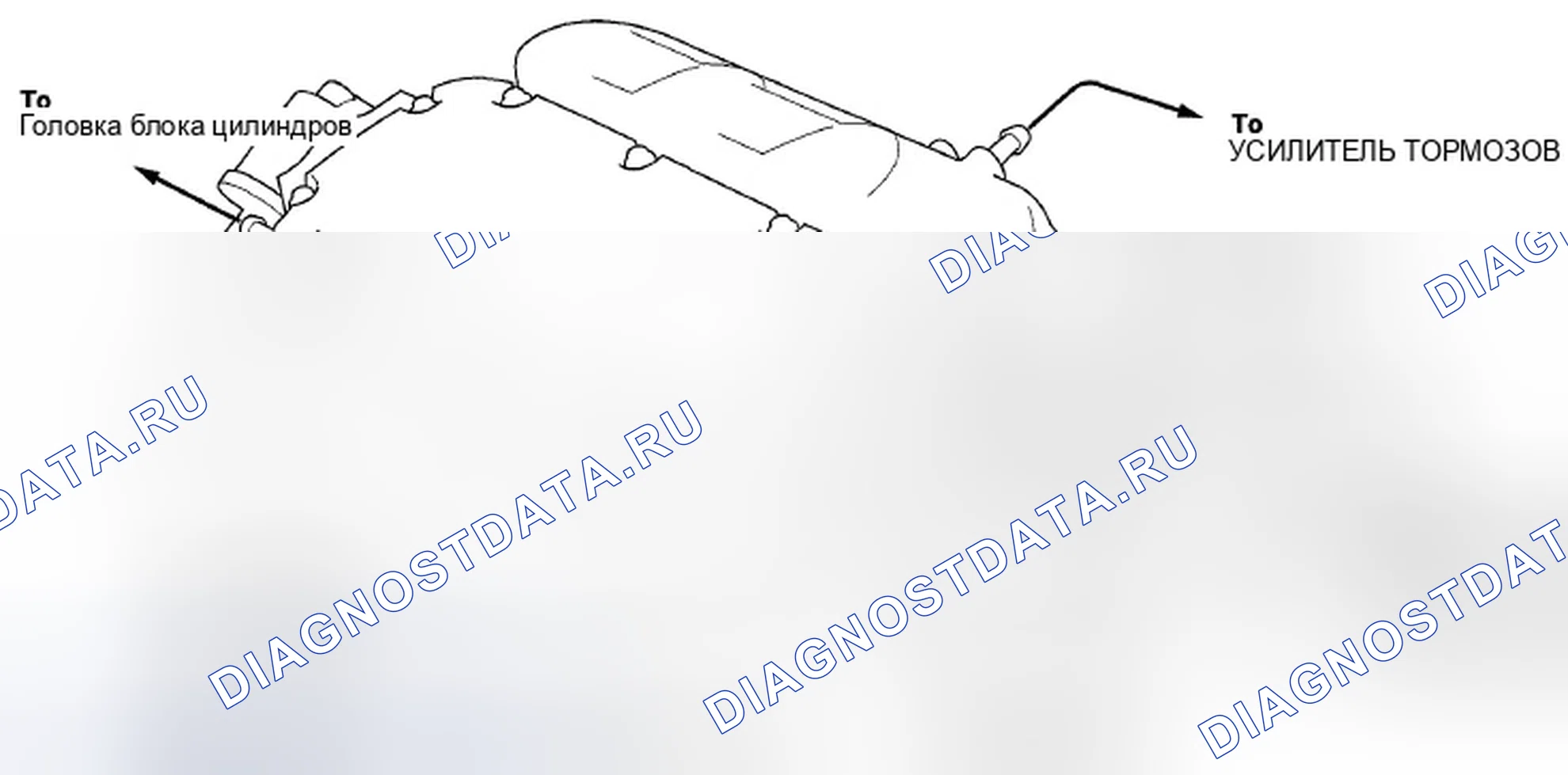 Рис. 3: Схема прокладки вакуумного шланга. Honda Pilot II