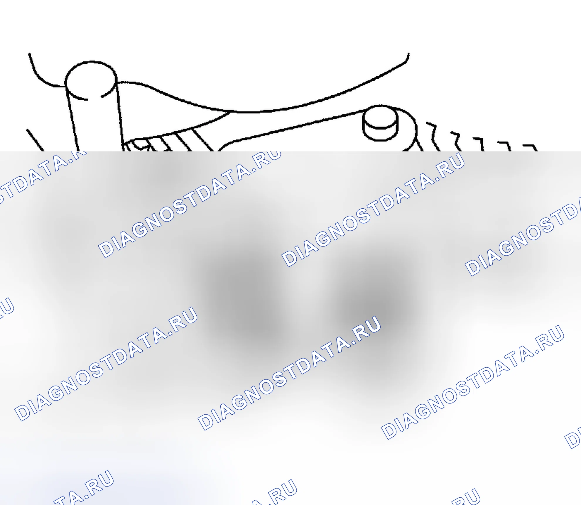 Рис. 394. Nissan Sentra B15