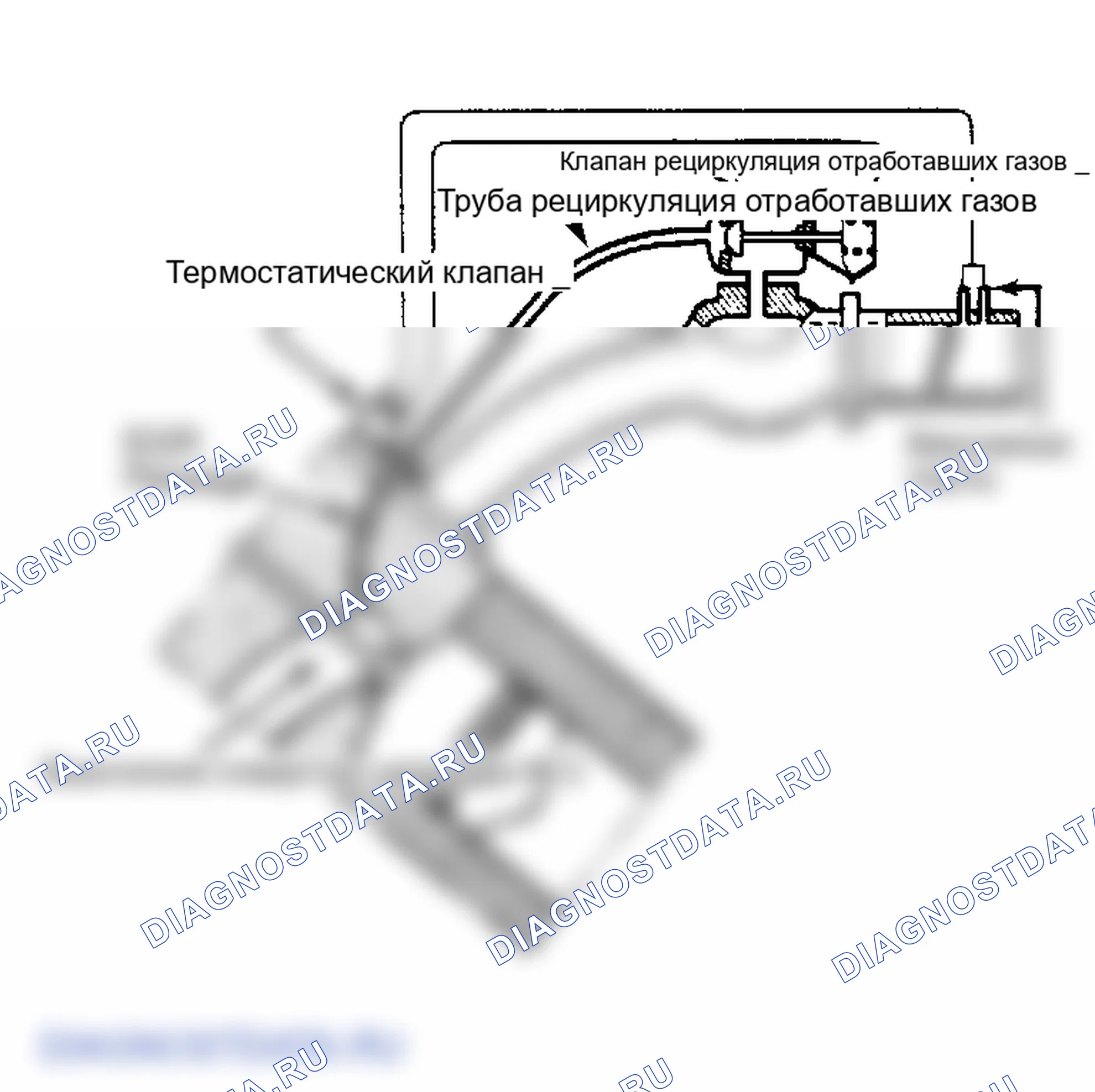 Рис. 1: Вид в разрезе двухпортовой системы рециркуляция отработавших газов (модели без турбонаддува). Saab 900 I
