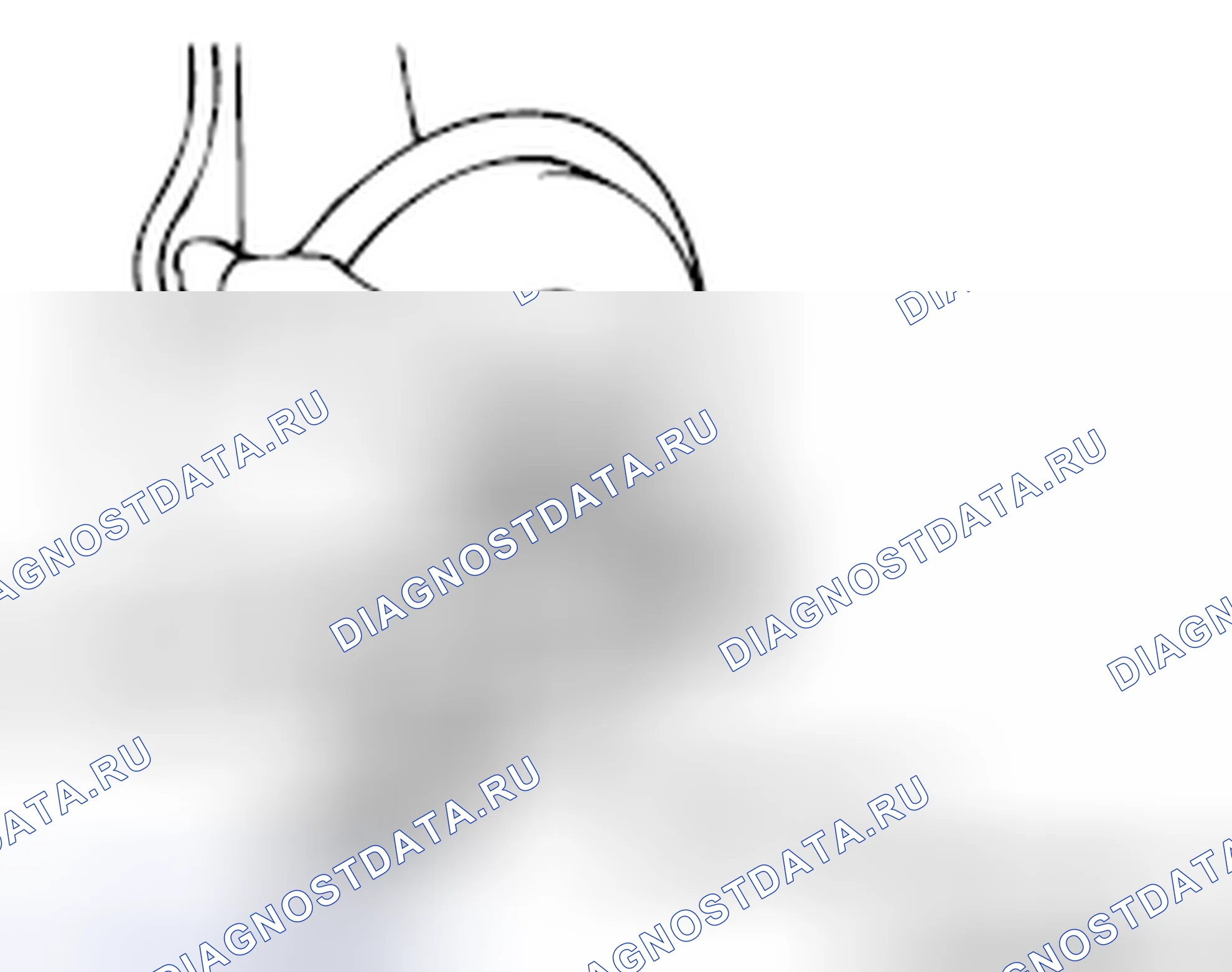 Рис. 6. Mazda MX-5 NB