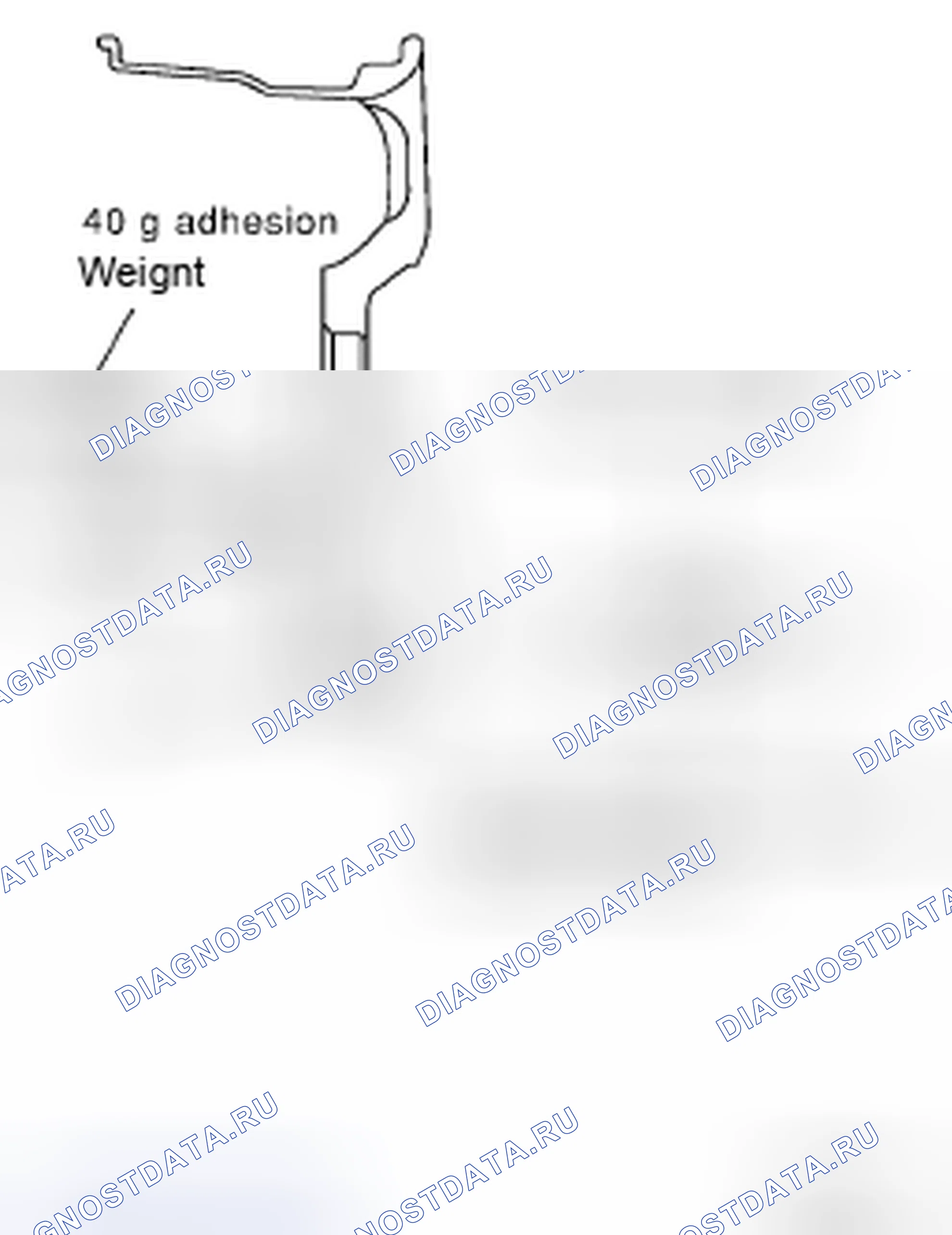 Рис. 2. Nissan Frontier D40