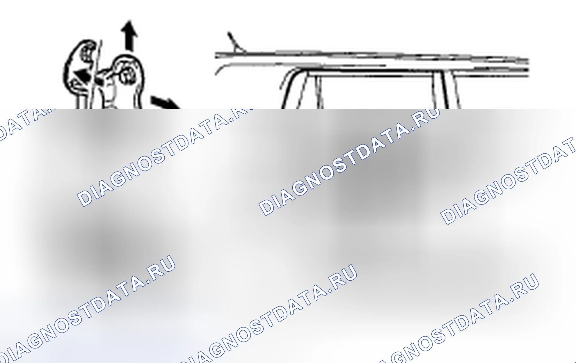 Рис. 132. Kia Soul II рестайлинг