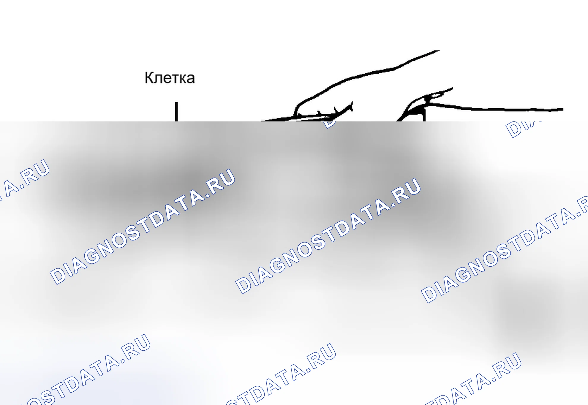Рис. 5. Hyundai Santa Cruz I