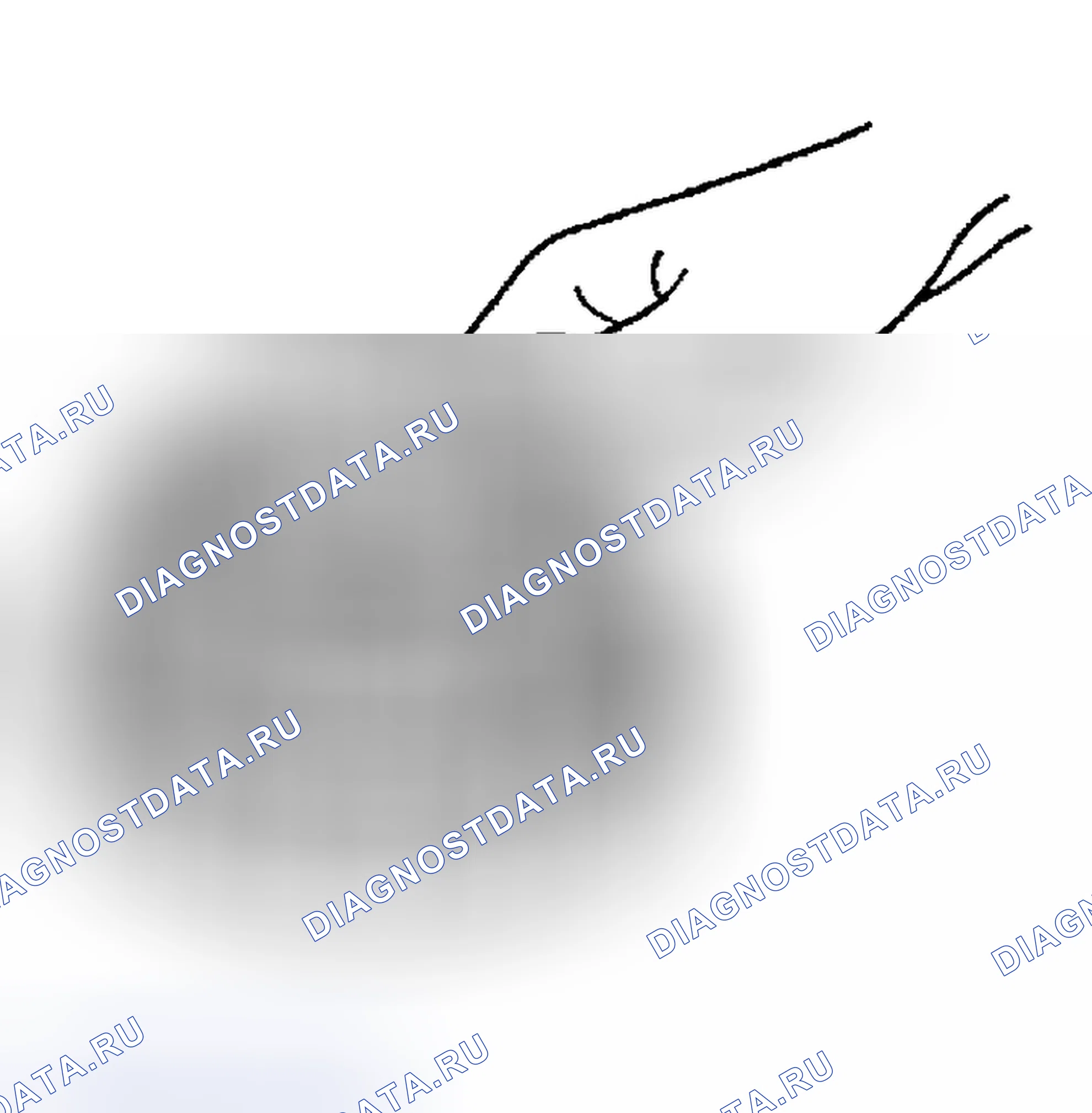 Рис. 143. Geely Preface I