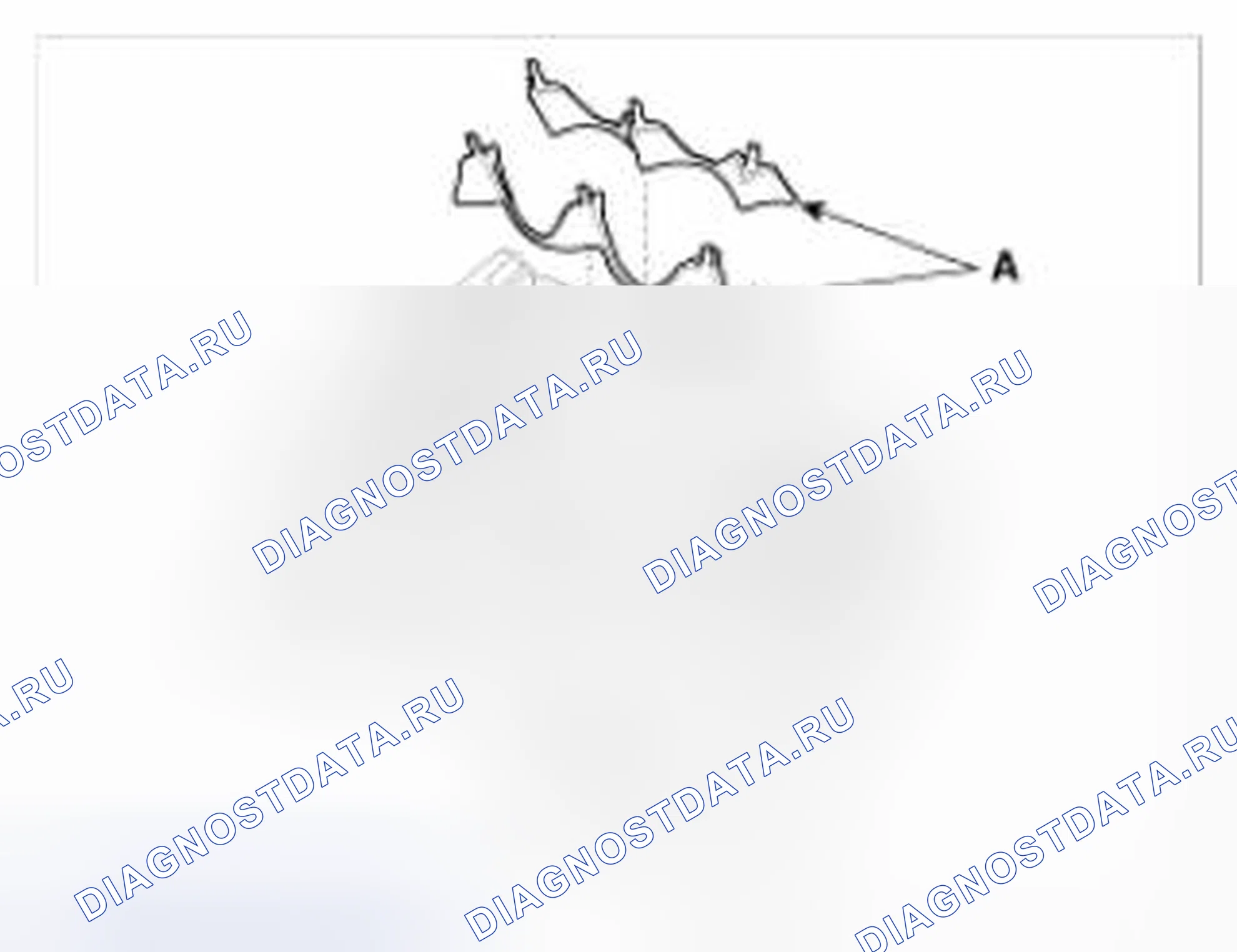 Рис. 280. BMW 6 серия F06/F13/F12