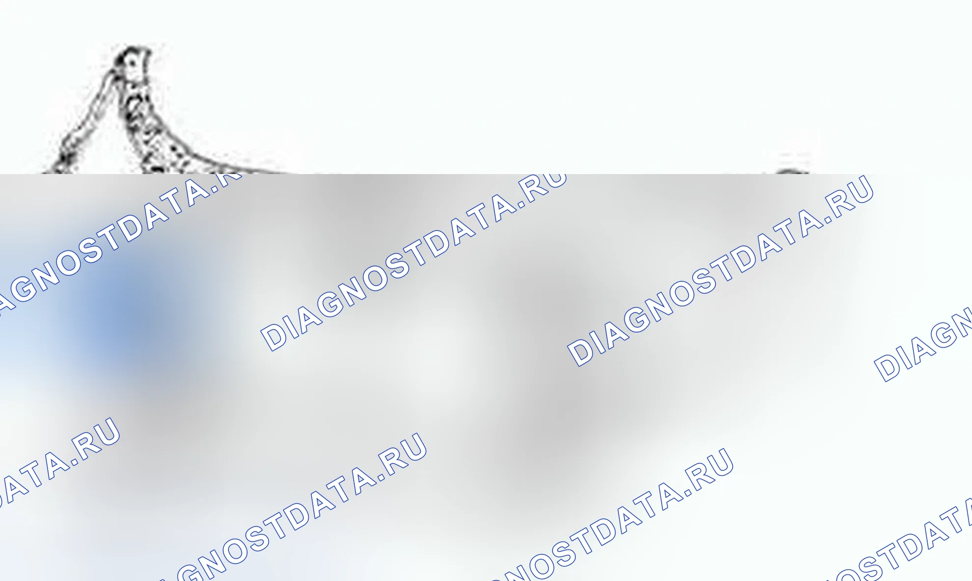 Рис. 209: Расположение компонентов. Hyundai Genesis I рестайлинг