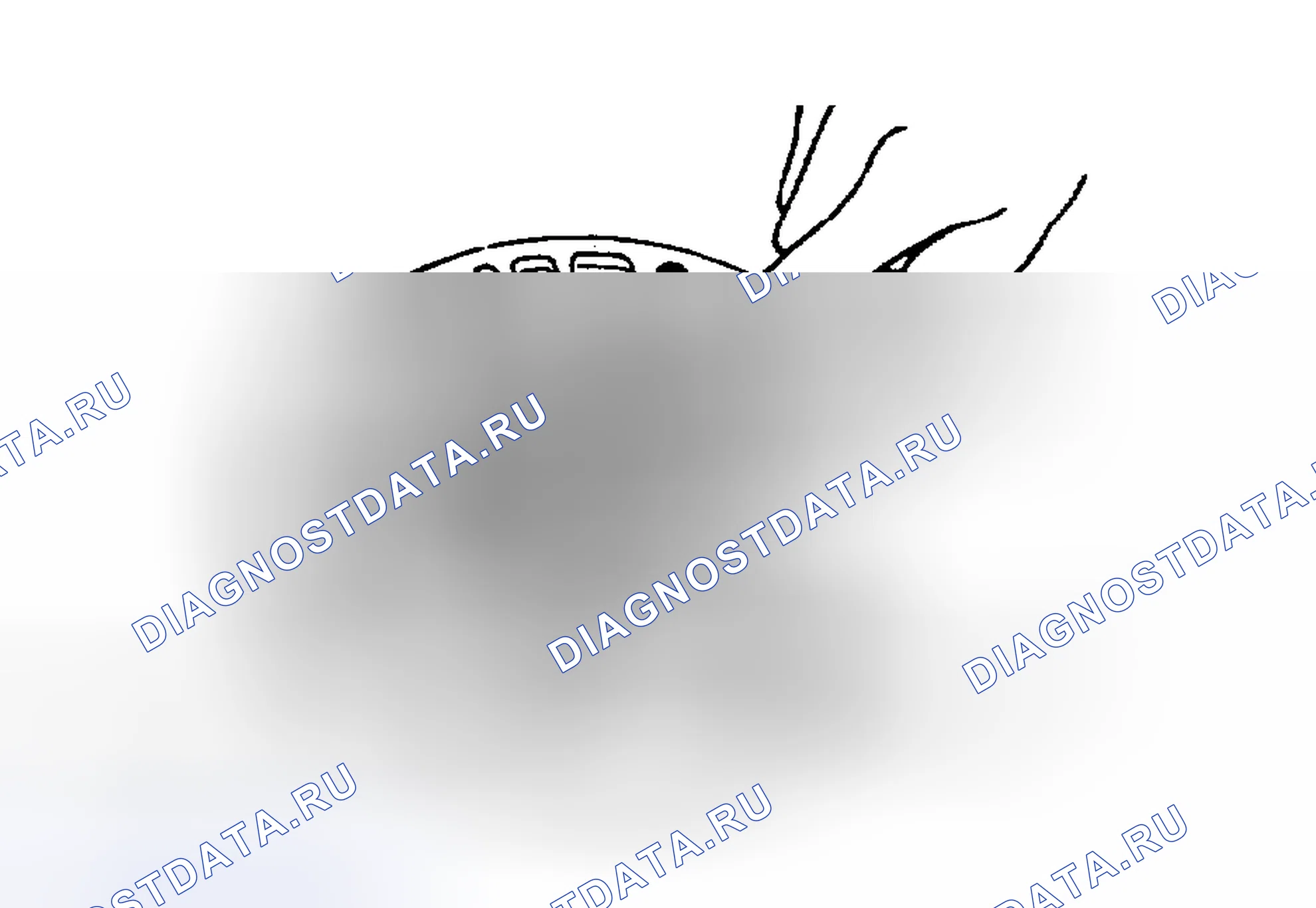 Рис. 9. Nissan Maxima G910