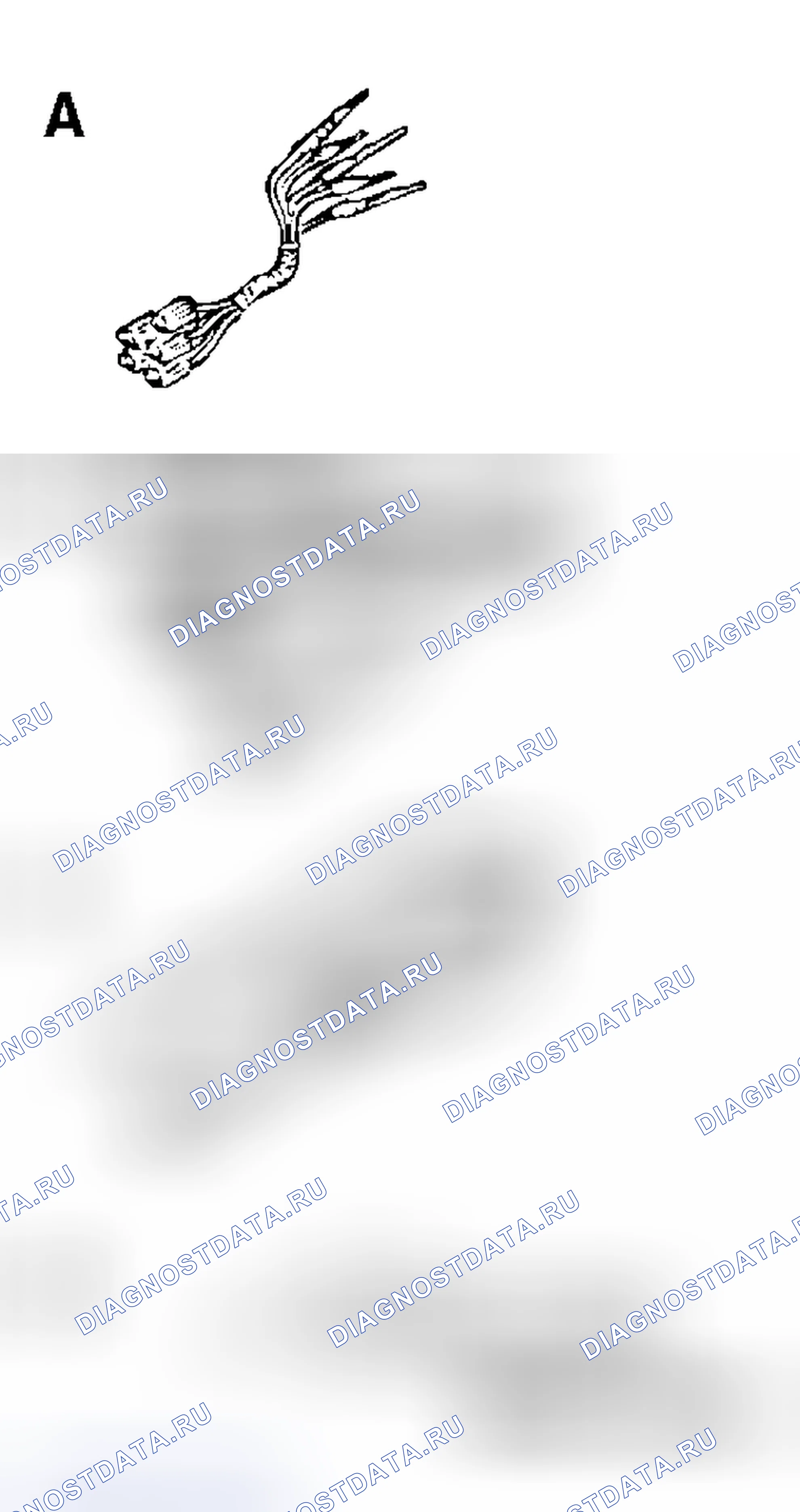 Рис. 86. Mitsubishi Endeavor I